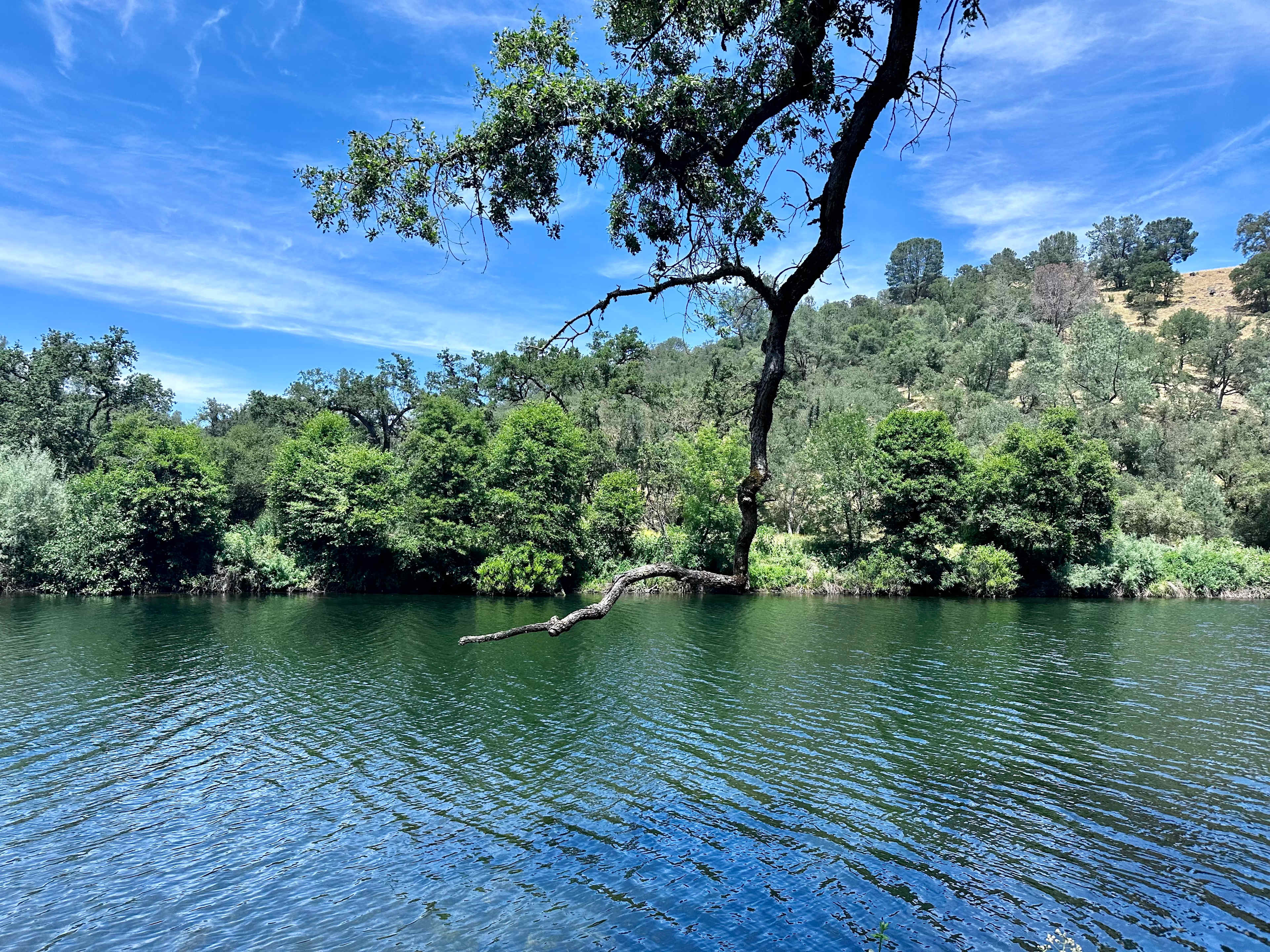 Cosumnes River Ranch