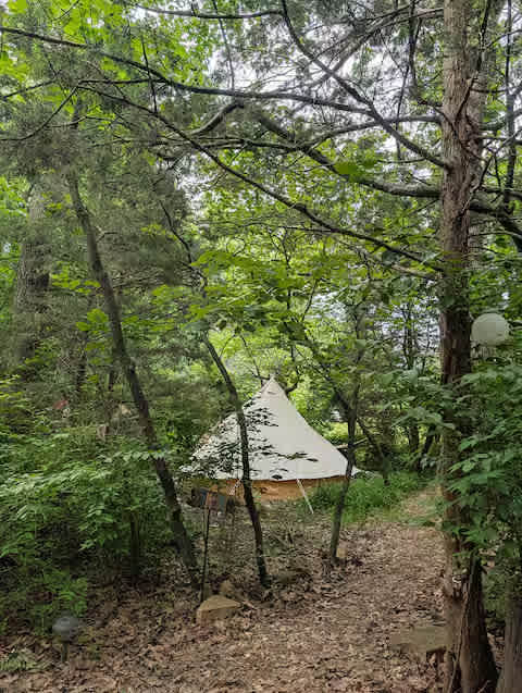 Picture of the site