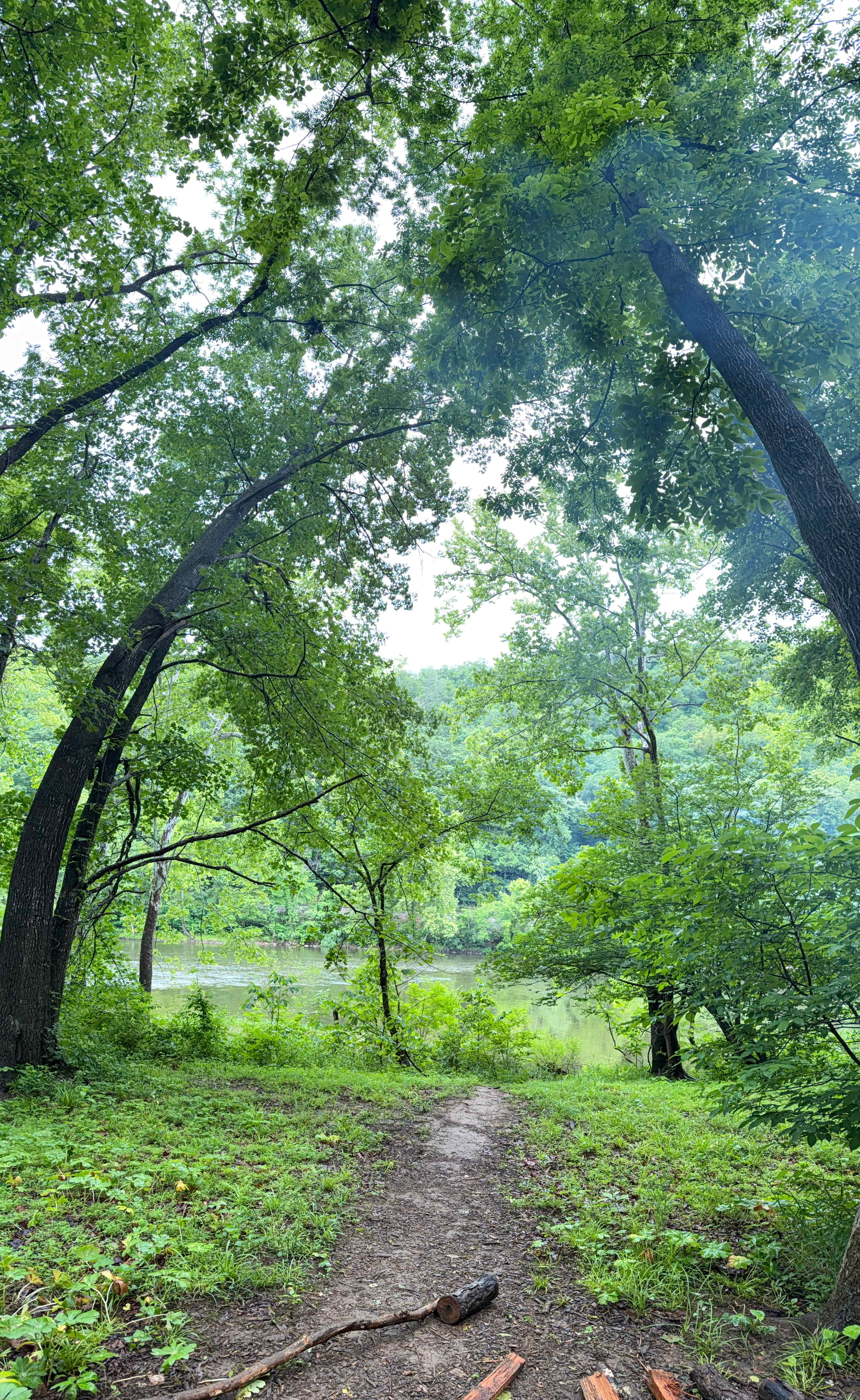 Access path on site 4