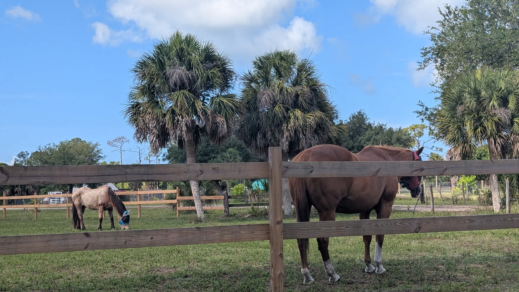 Bell Oaks Ranch 5 min from Beach