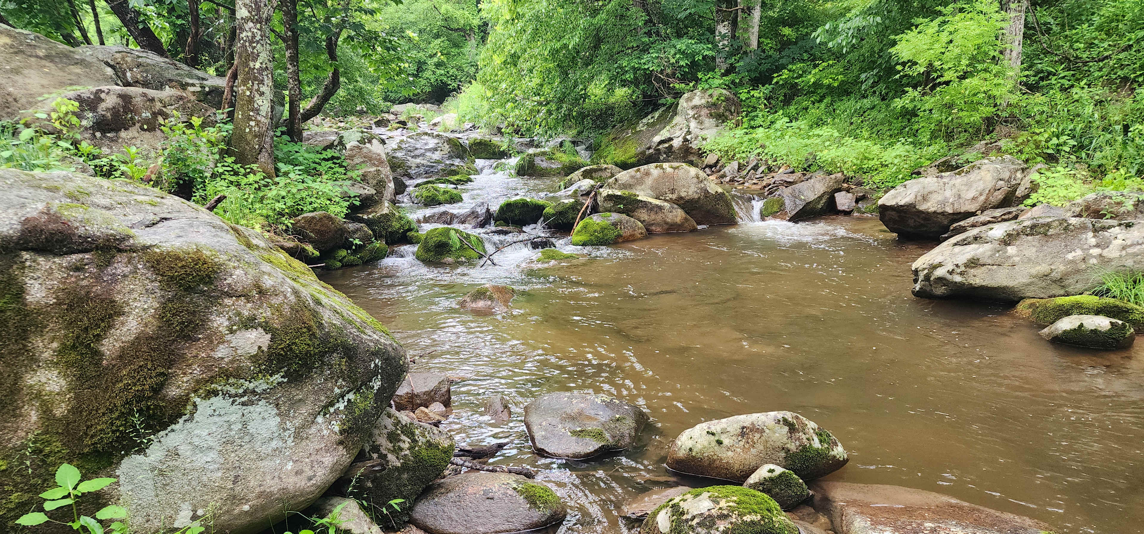 Good luck getting the adults out of the creek. 