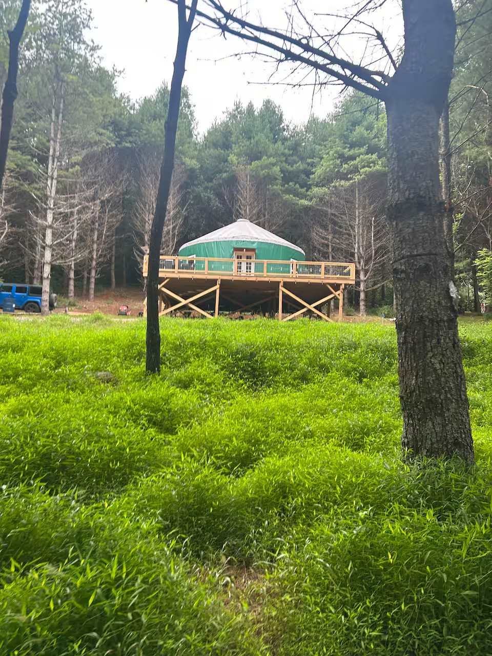 Picture of the site