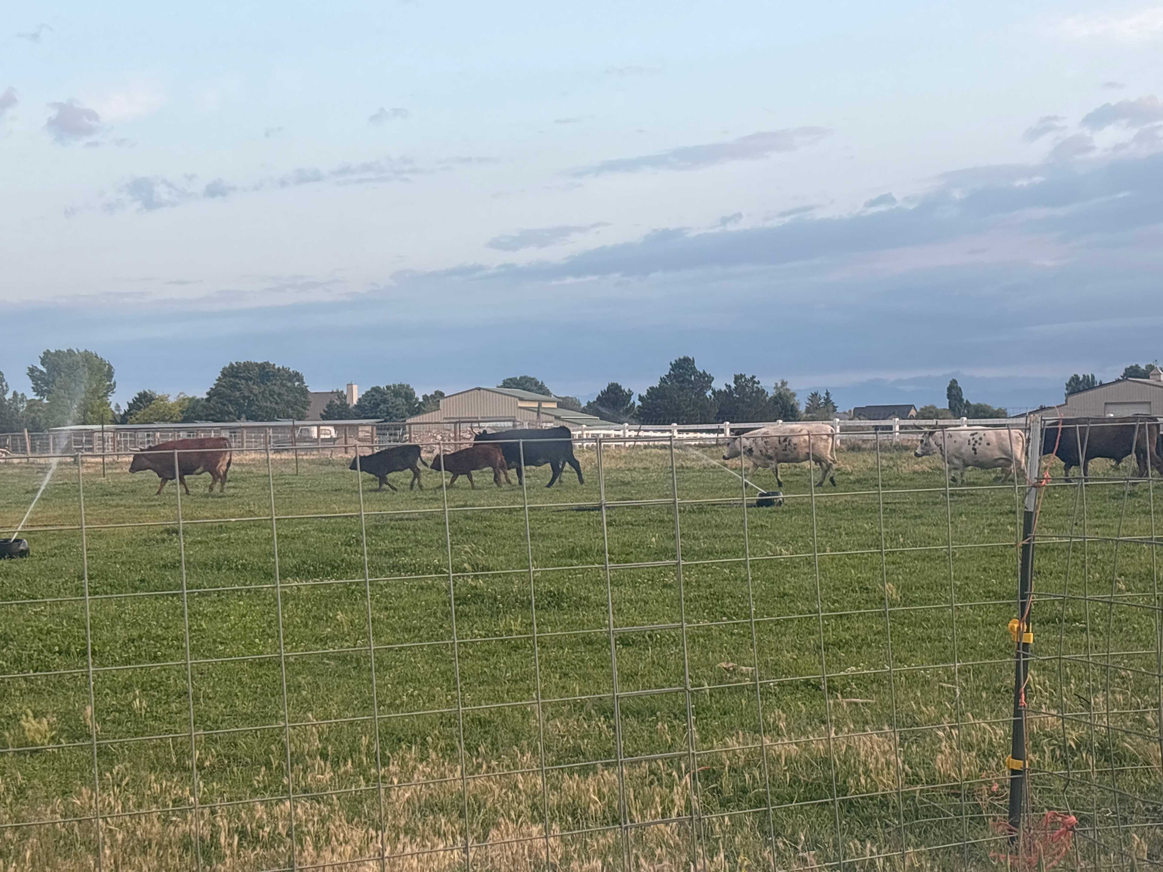 My neighbors for the night ! 
