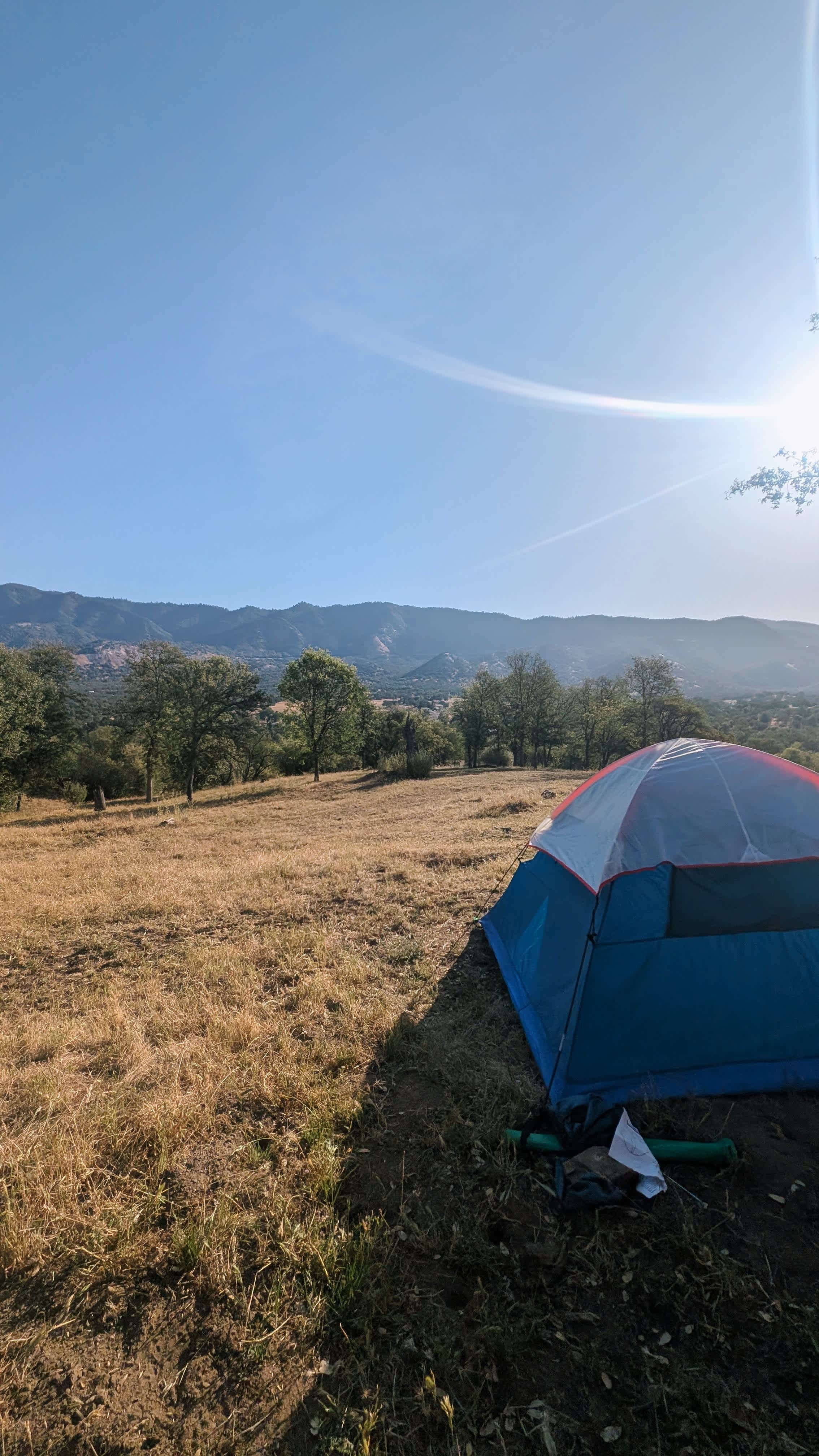 Camp ikigai Animal Sanctuary 501c3