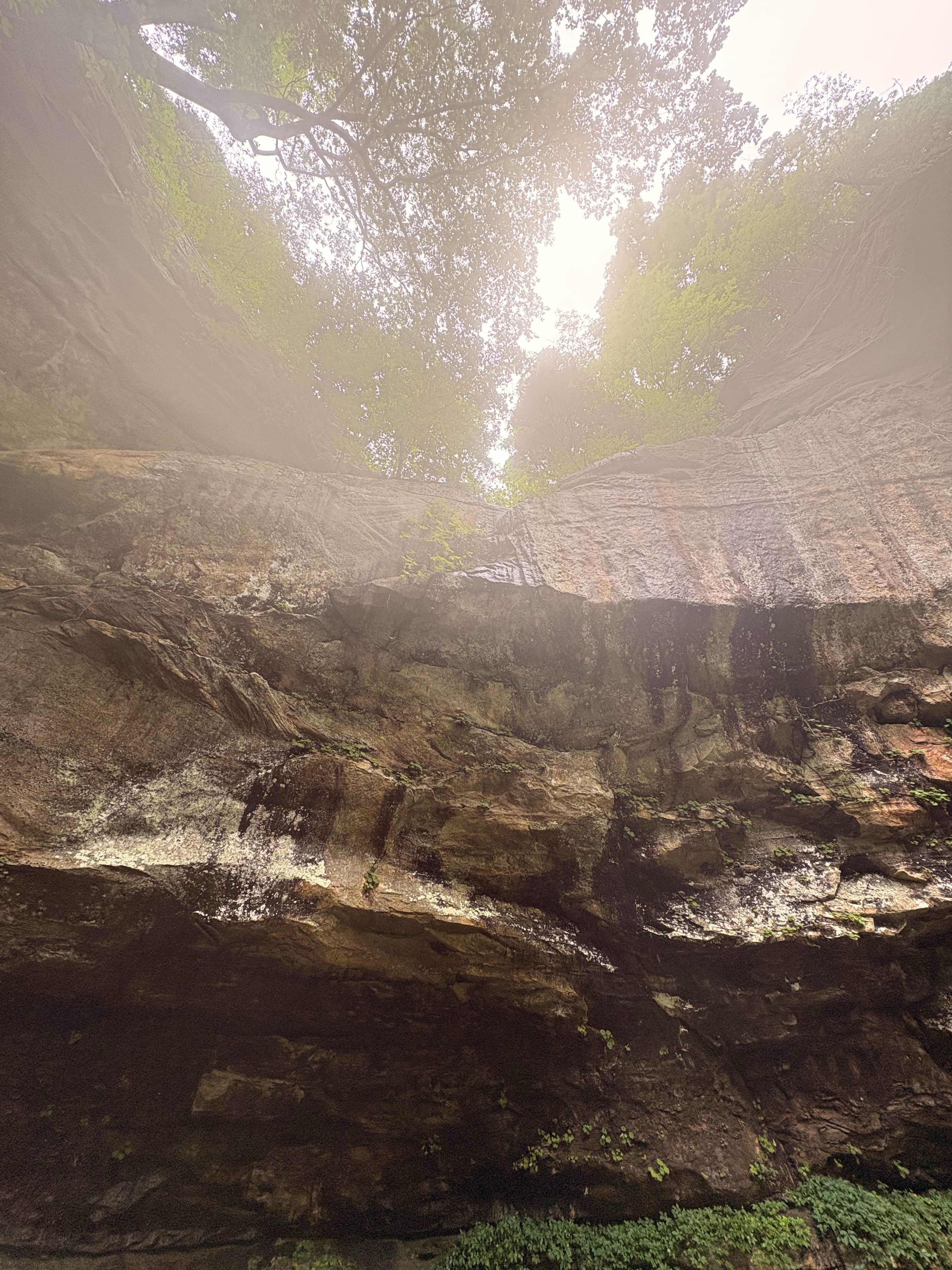 Tar Springs 2