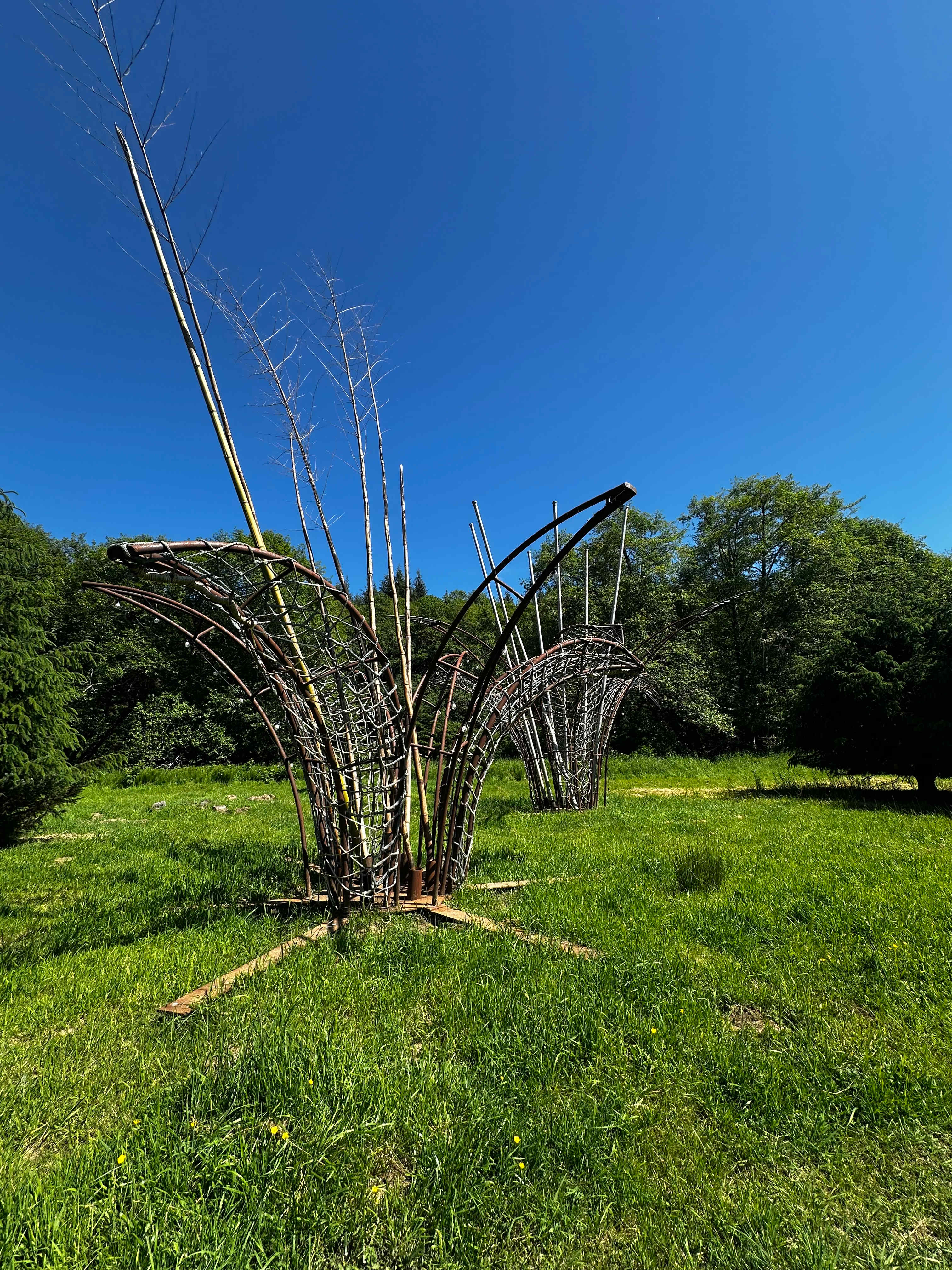 Art near yurt 