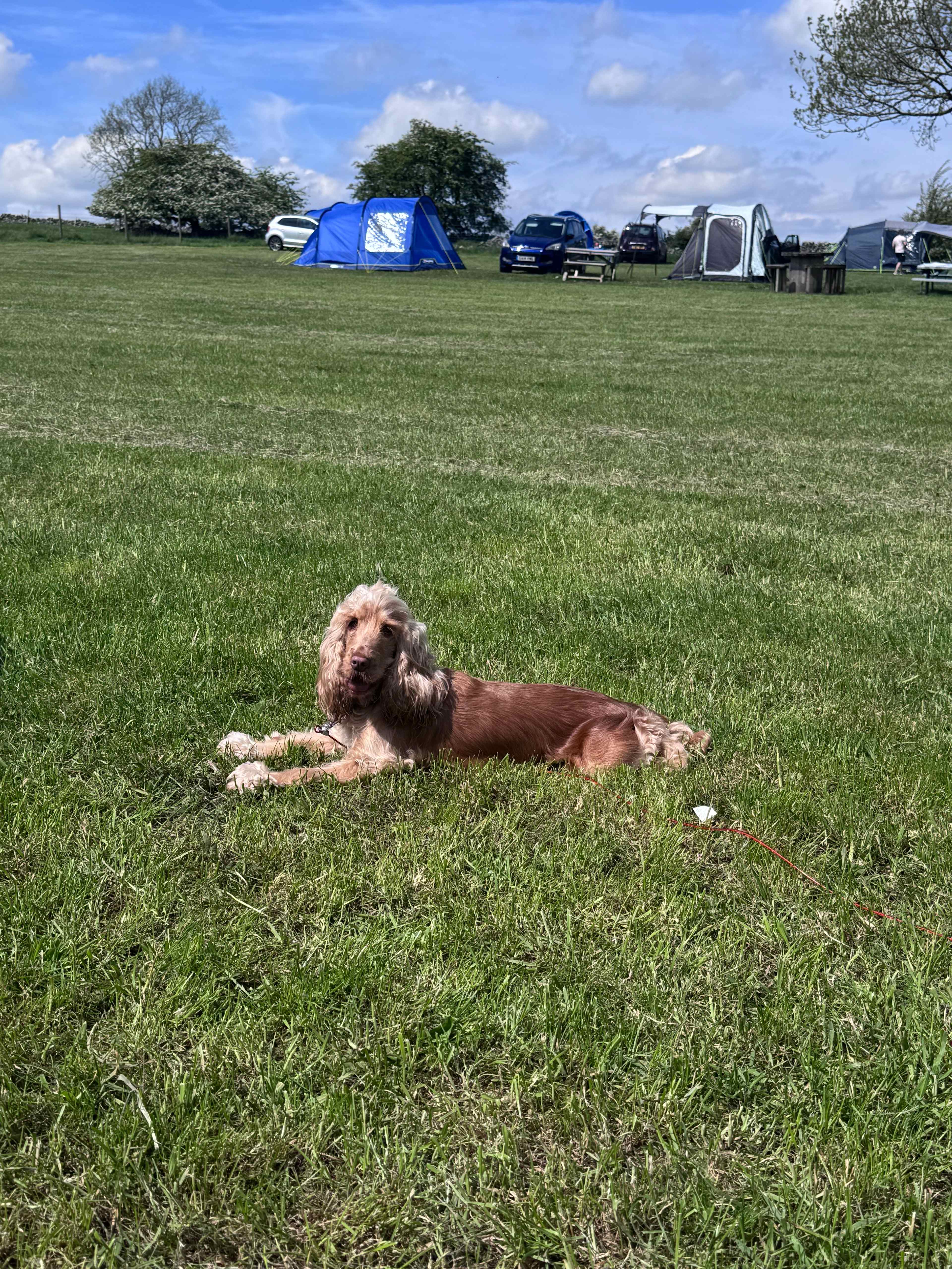White Peak Camping