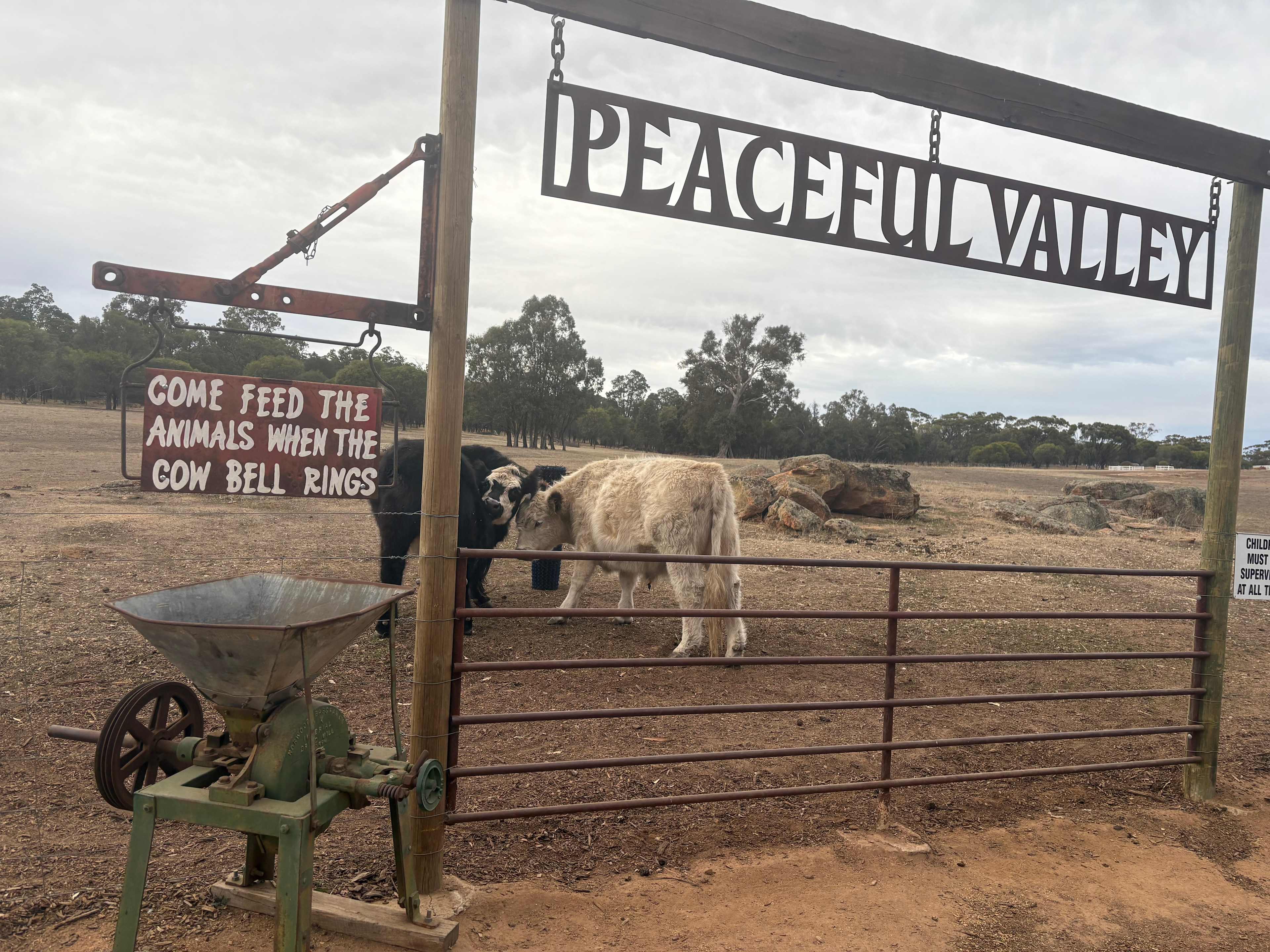Peaceful Valley Farm