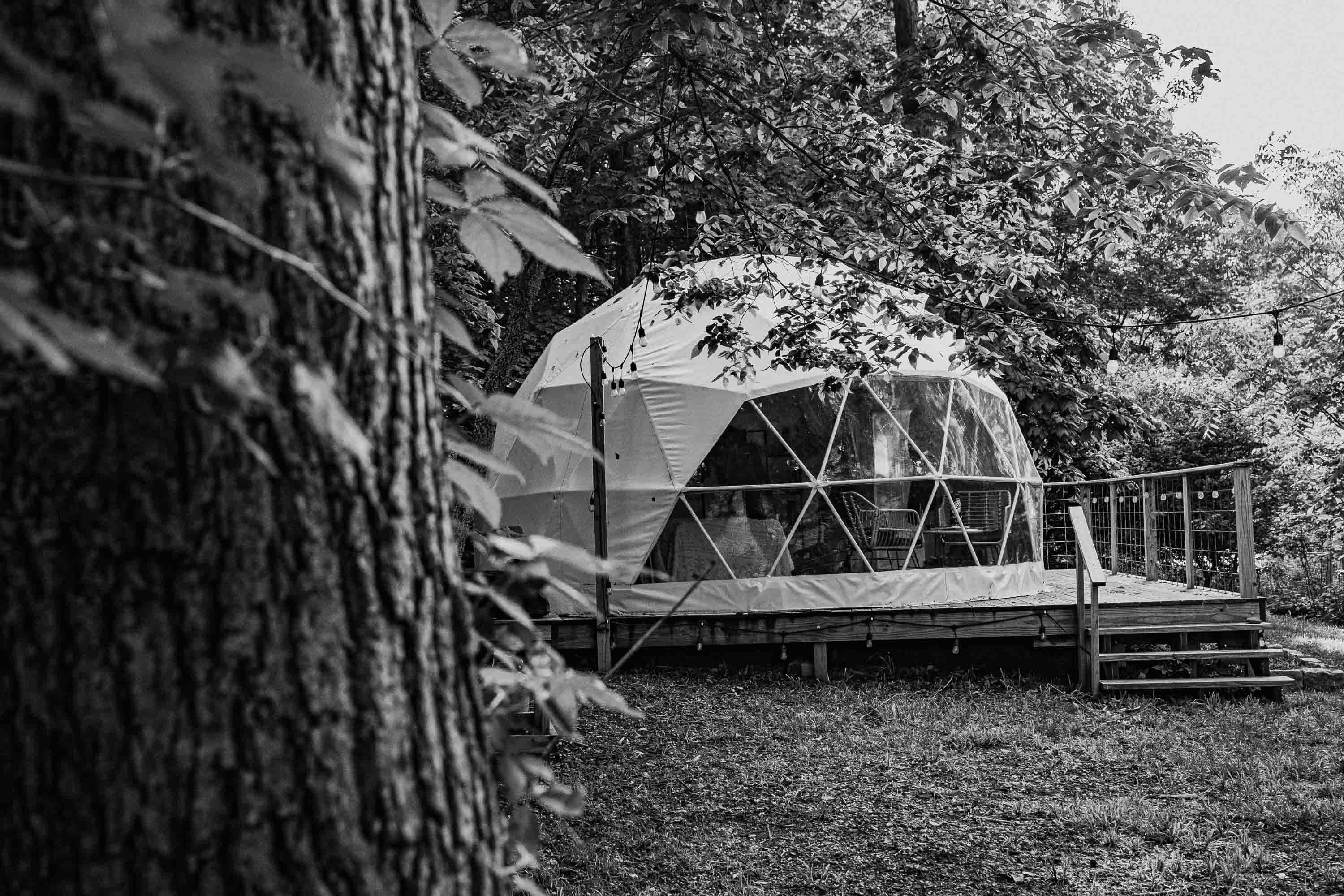 Geo-dome Glamping