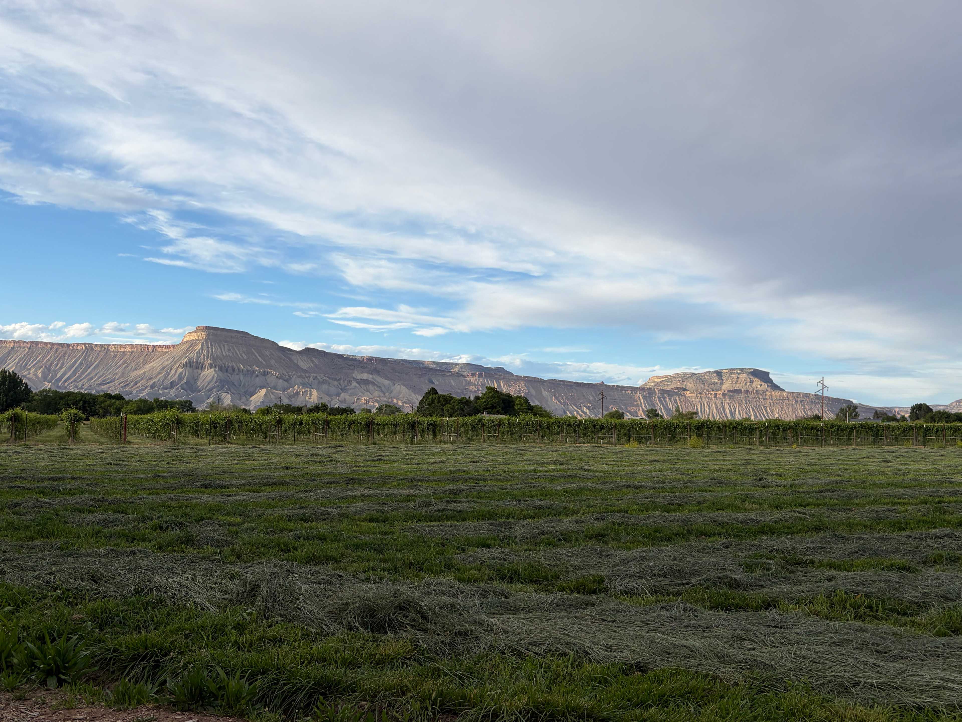 Reverie Retreat at MTO
