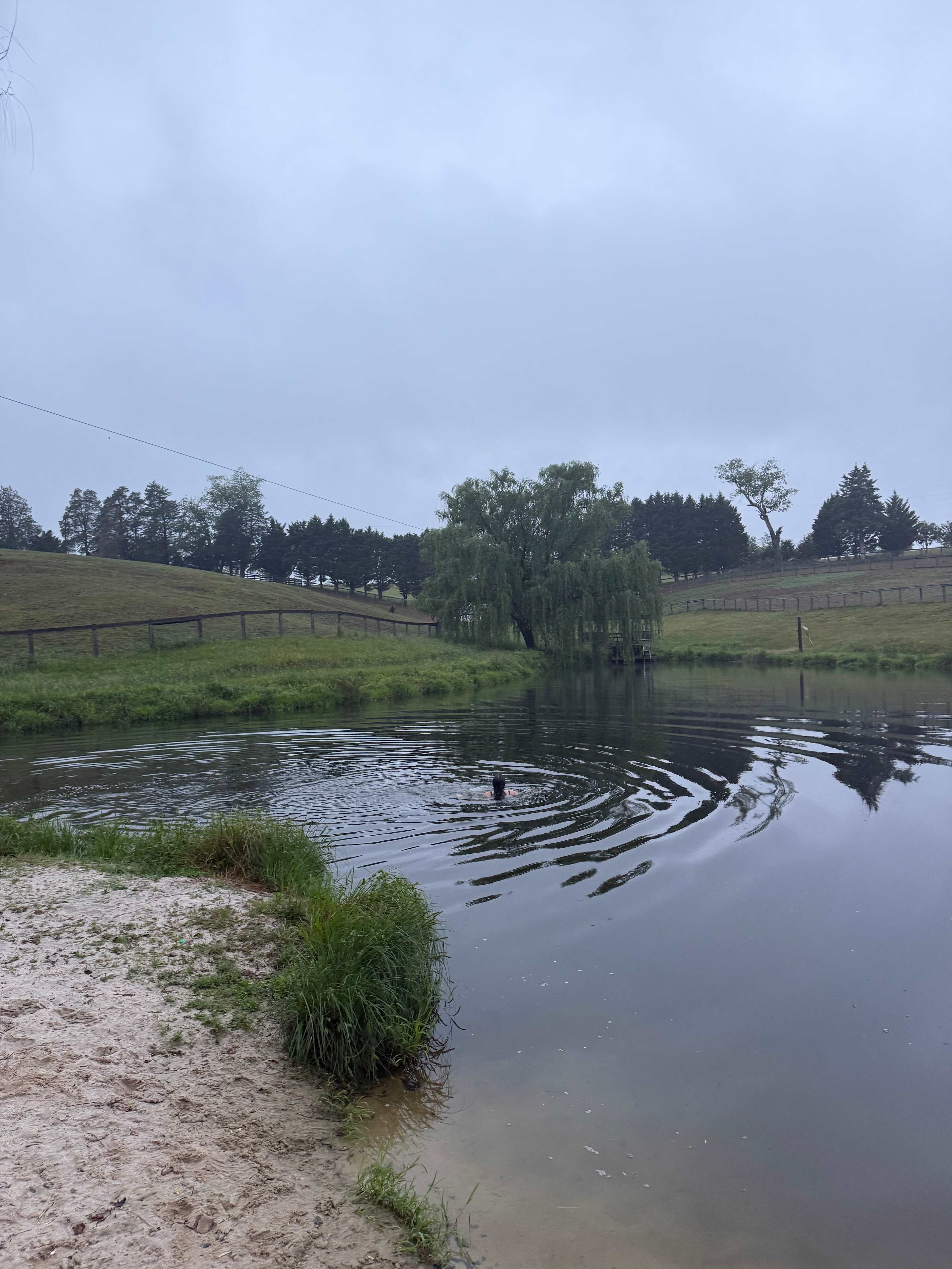 Private Farm Minutes to Cville