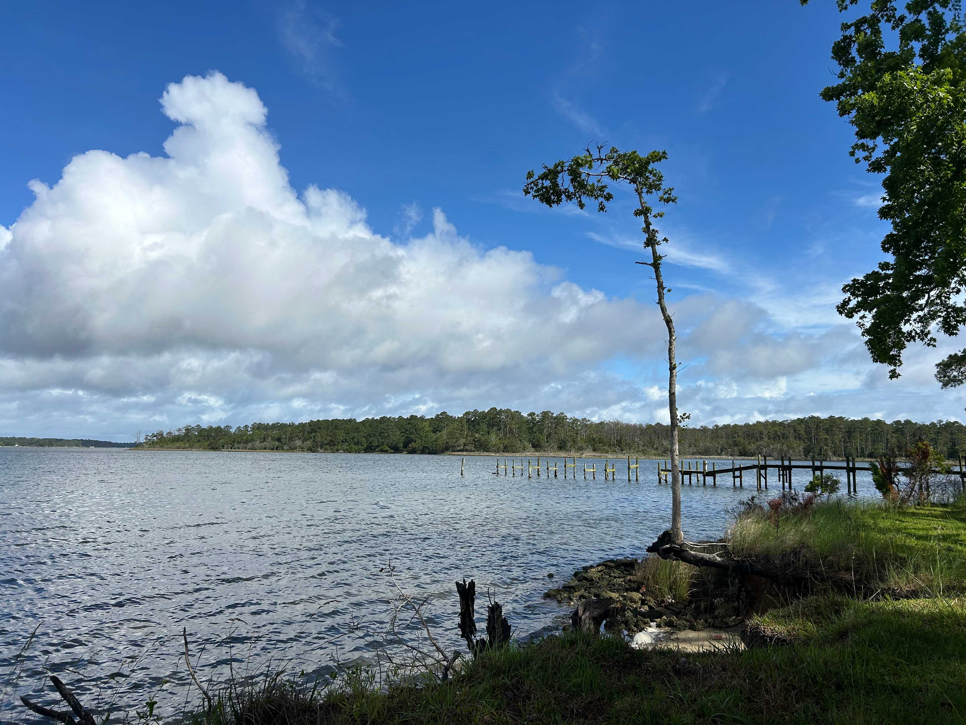 160 Acres  1700's waterfront forest