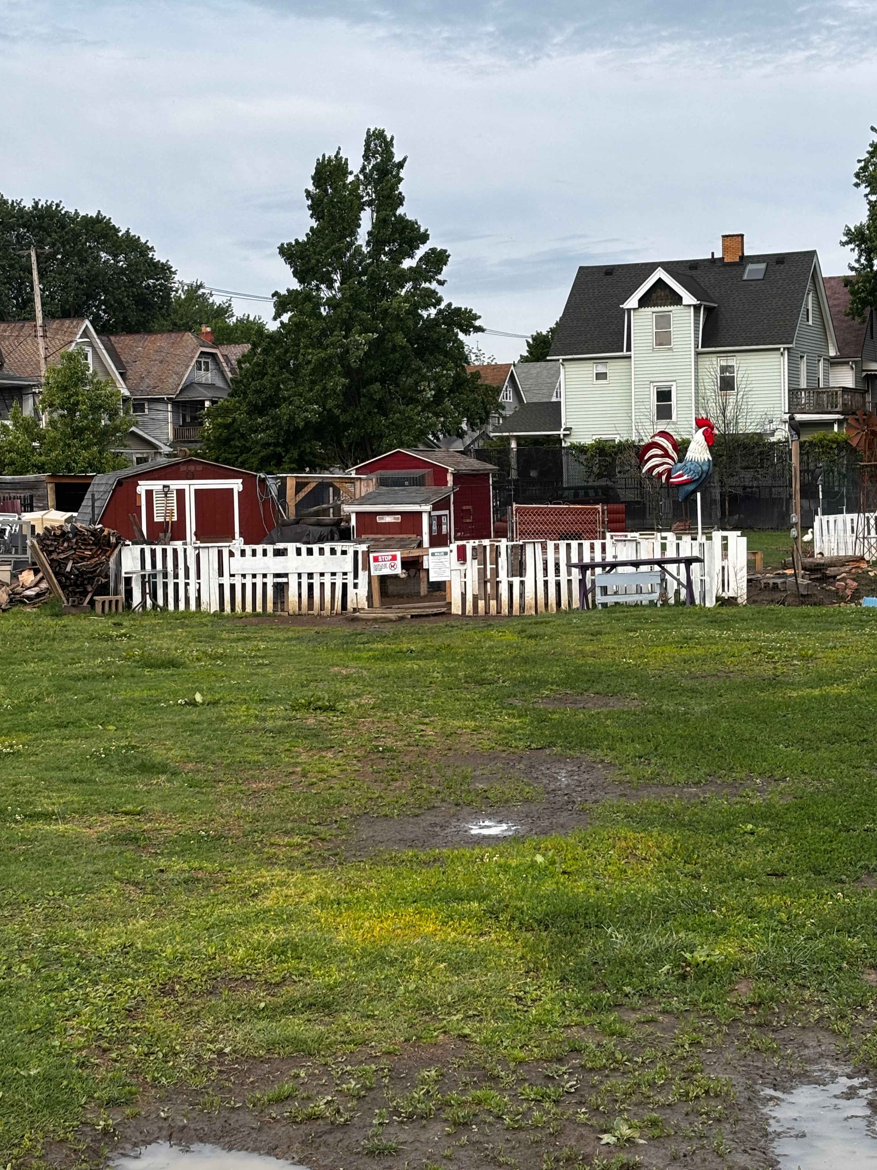 Picture of the site