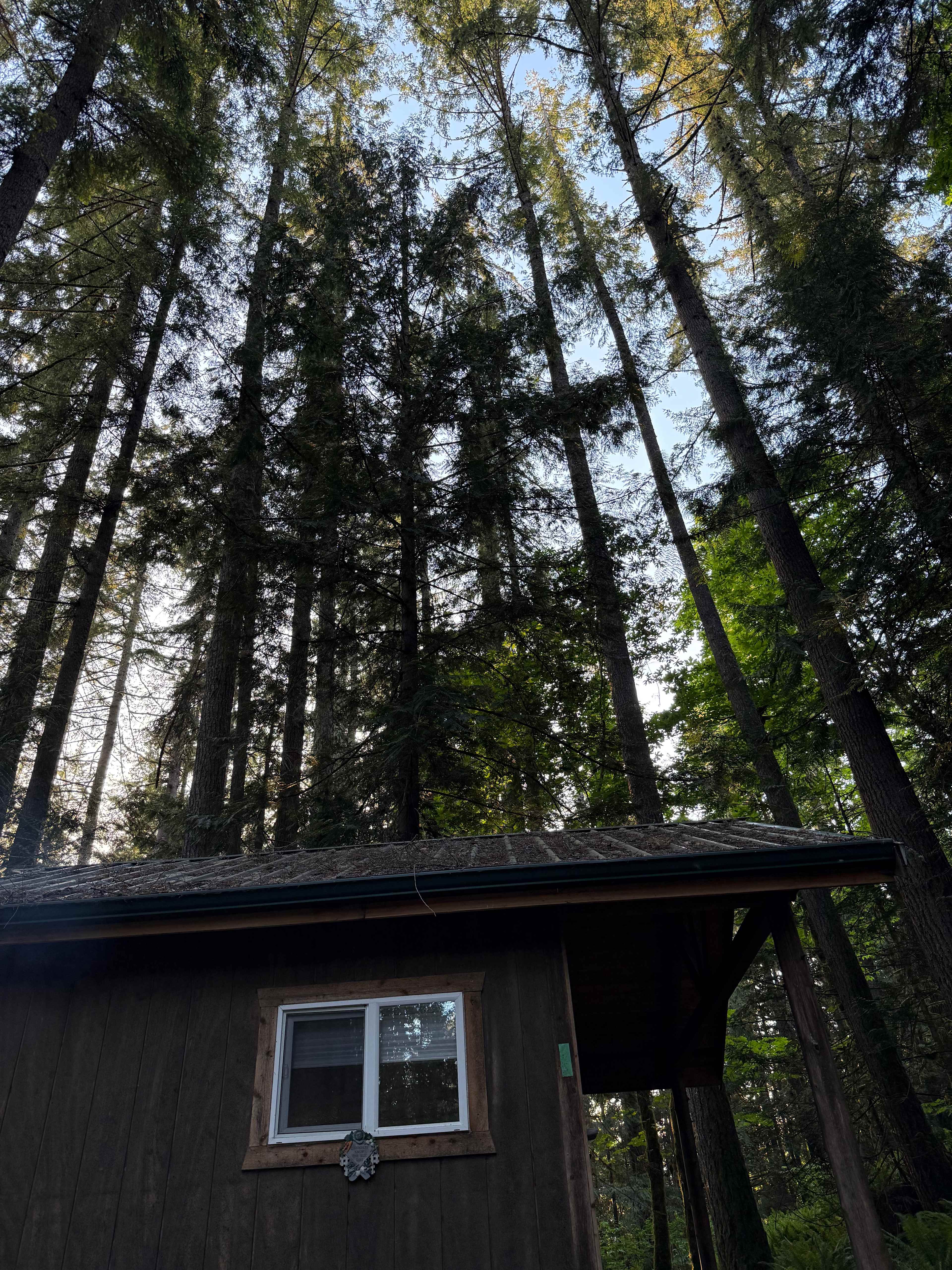 Grace E.’s Mini Forest Cabins