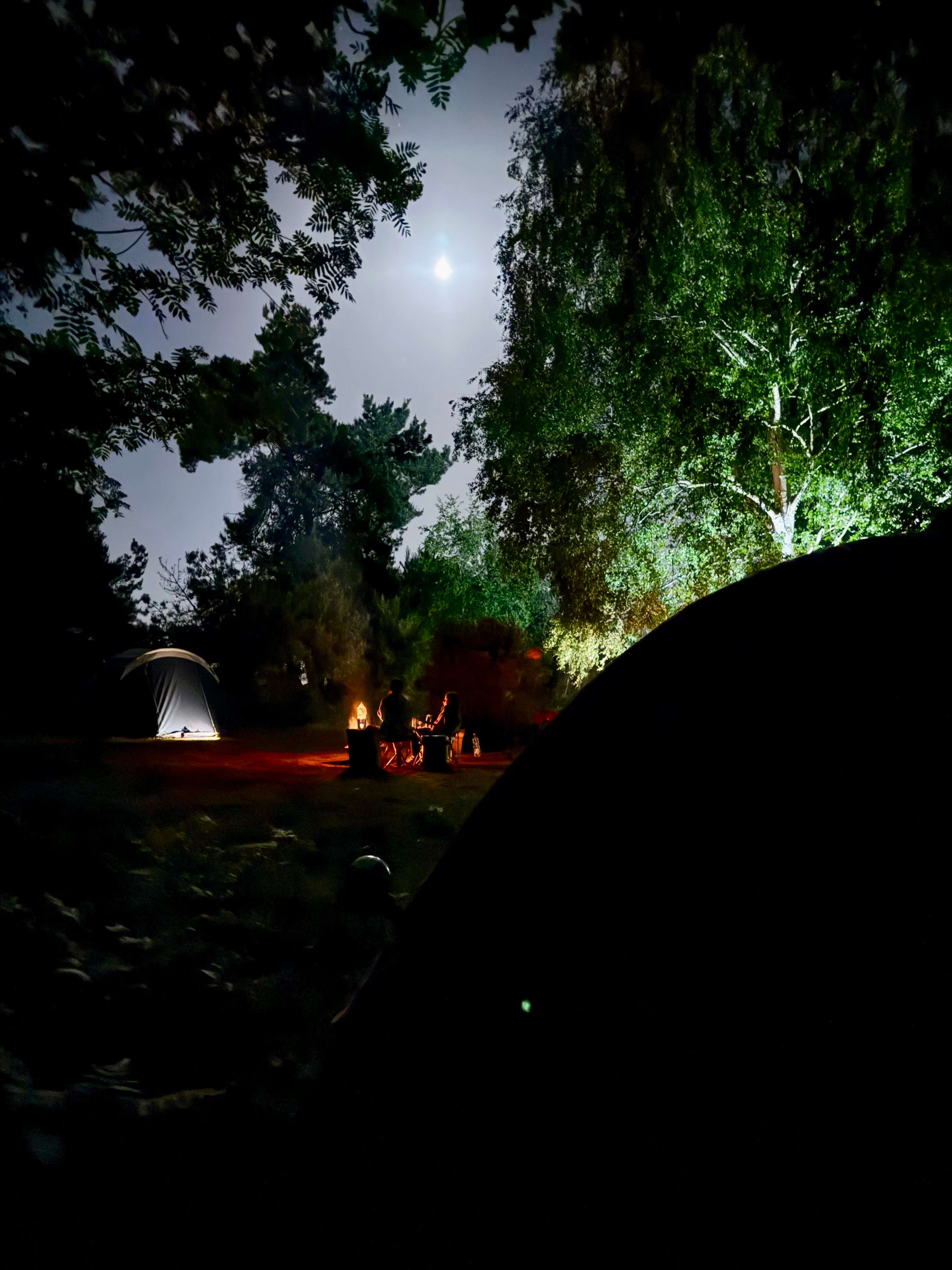 Holistic Woods Wild Campsite