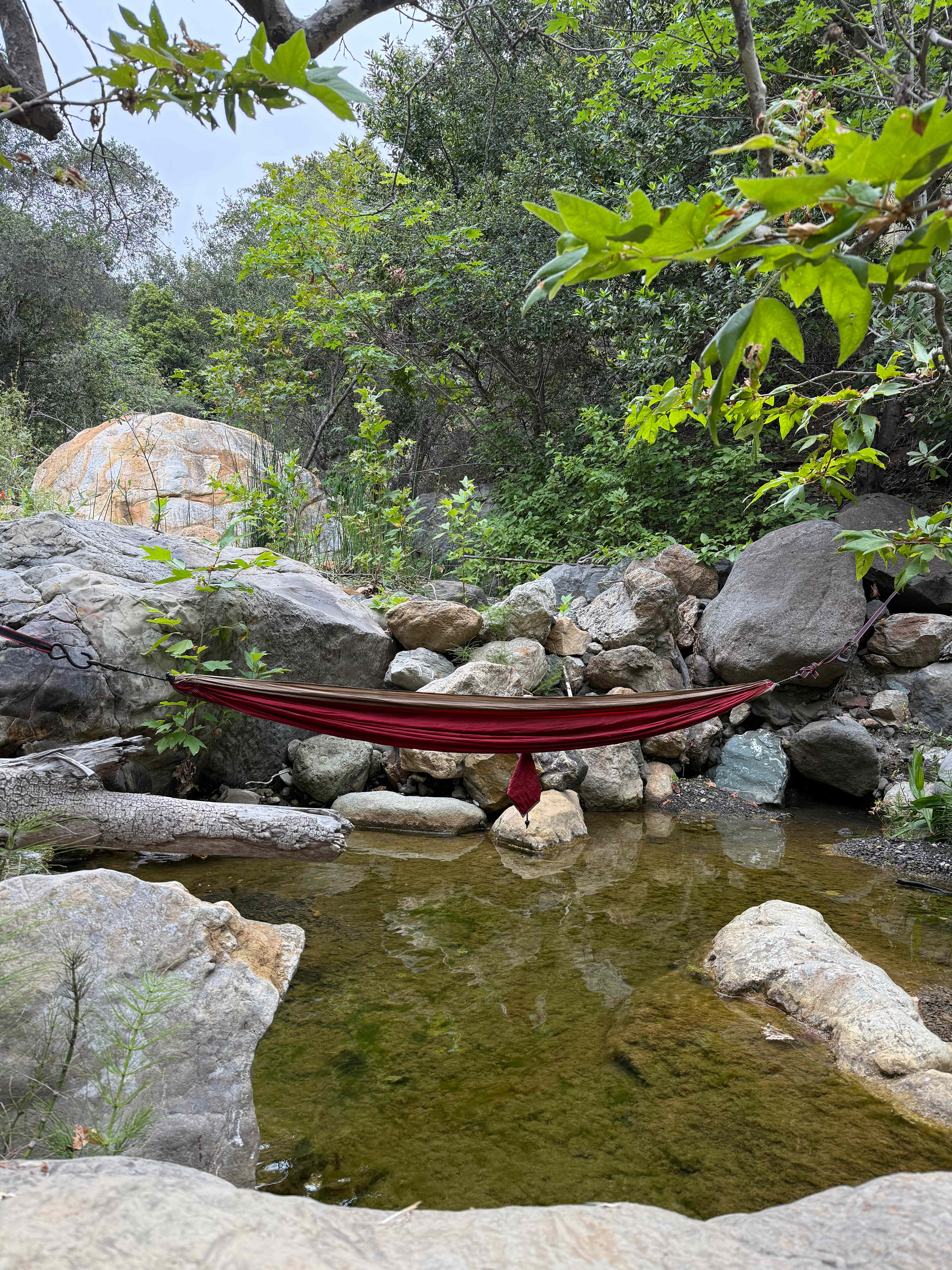 Stream
