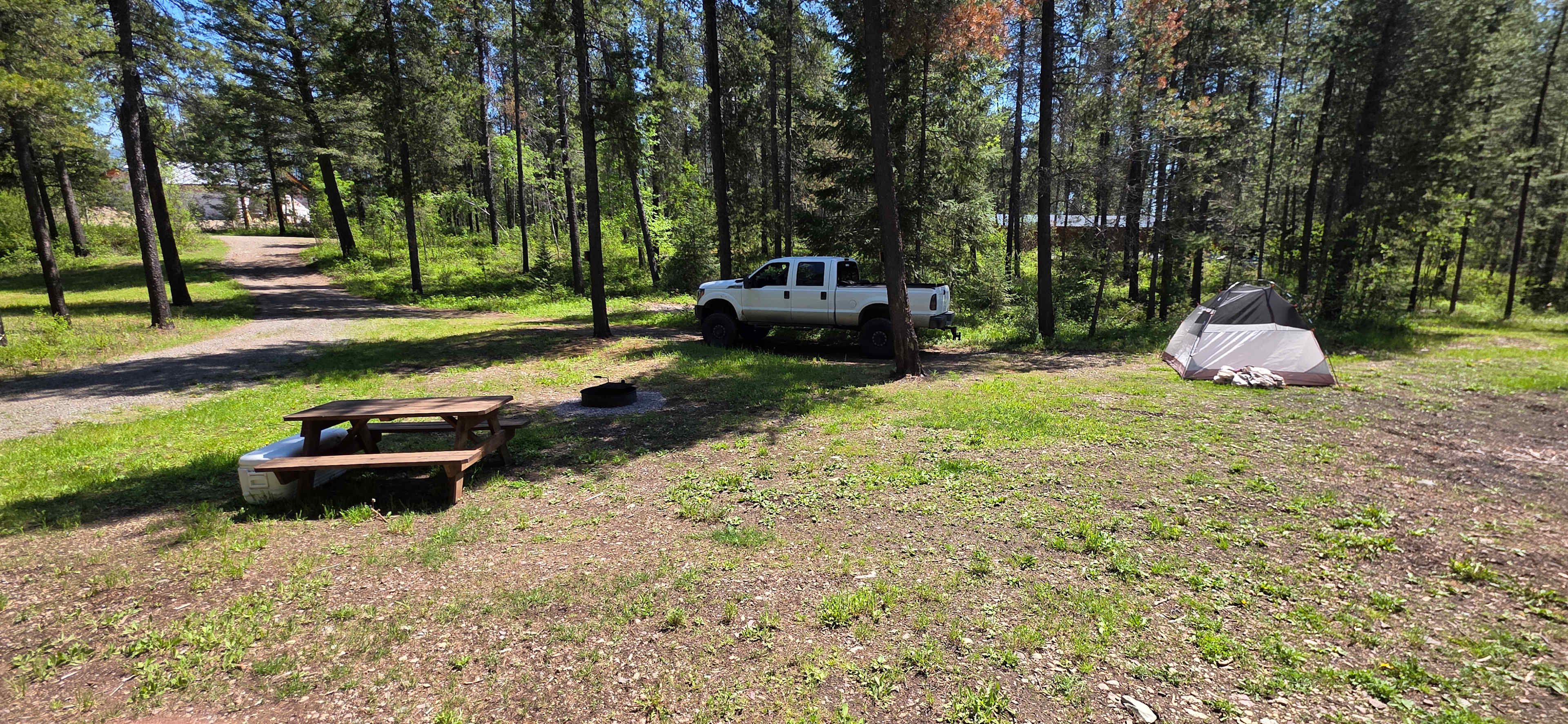 Picture of the site