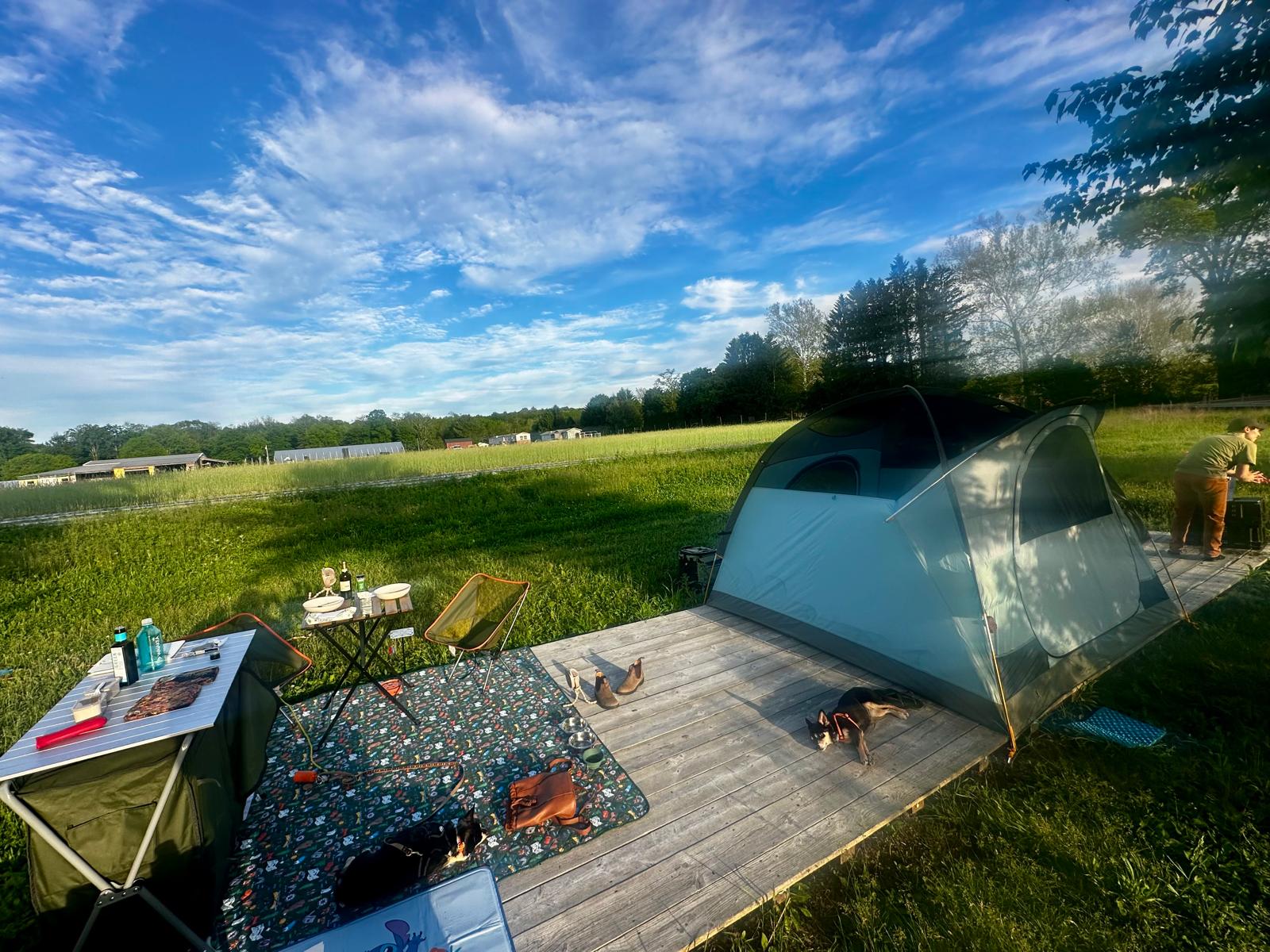 Campsite 1 — facing the farm