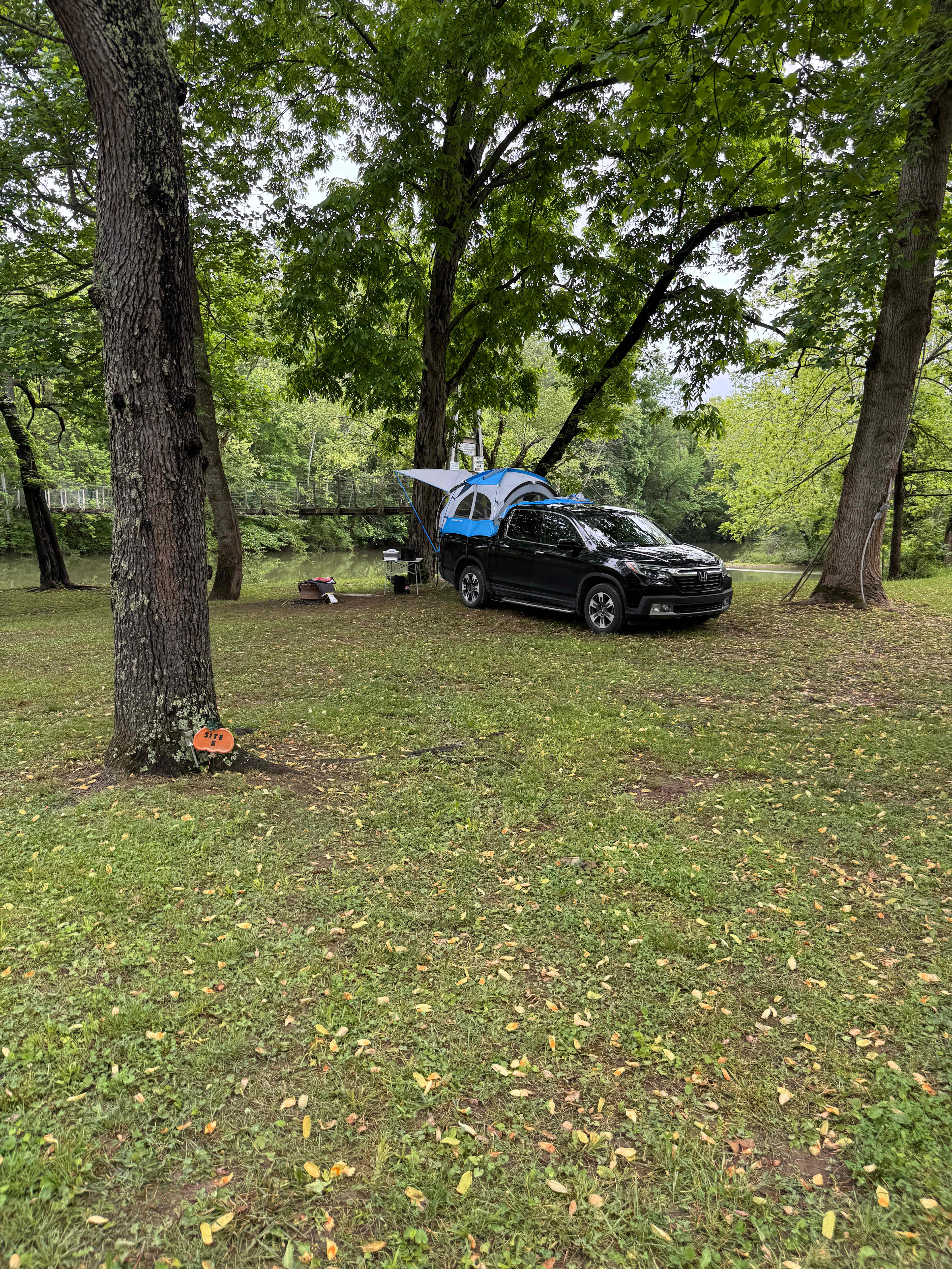 Picture of the site