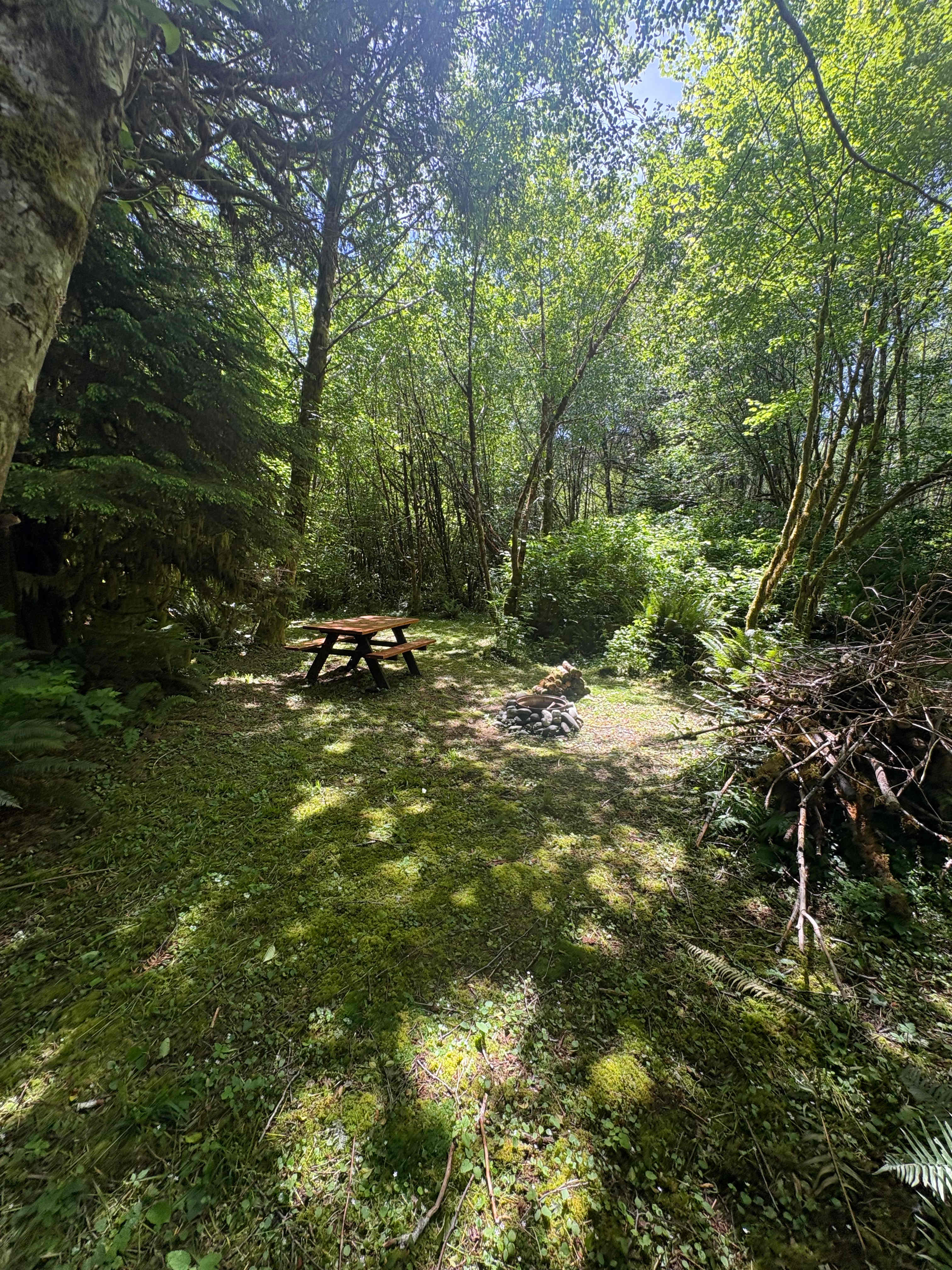 Picture of the site