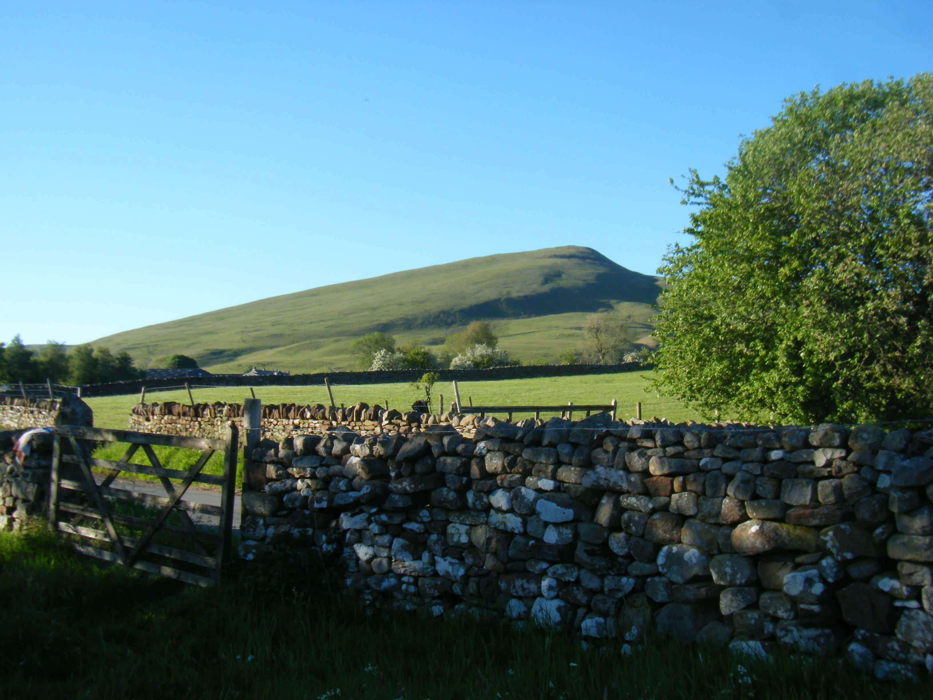 The Old Chapel Campsite