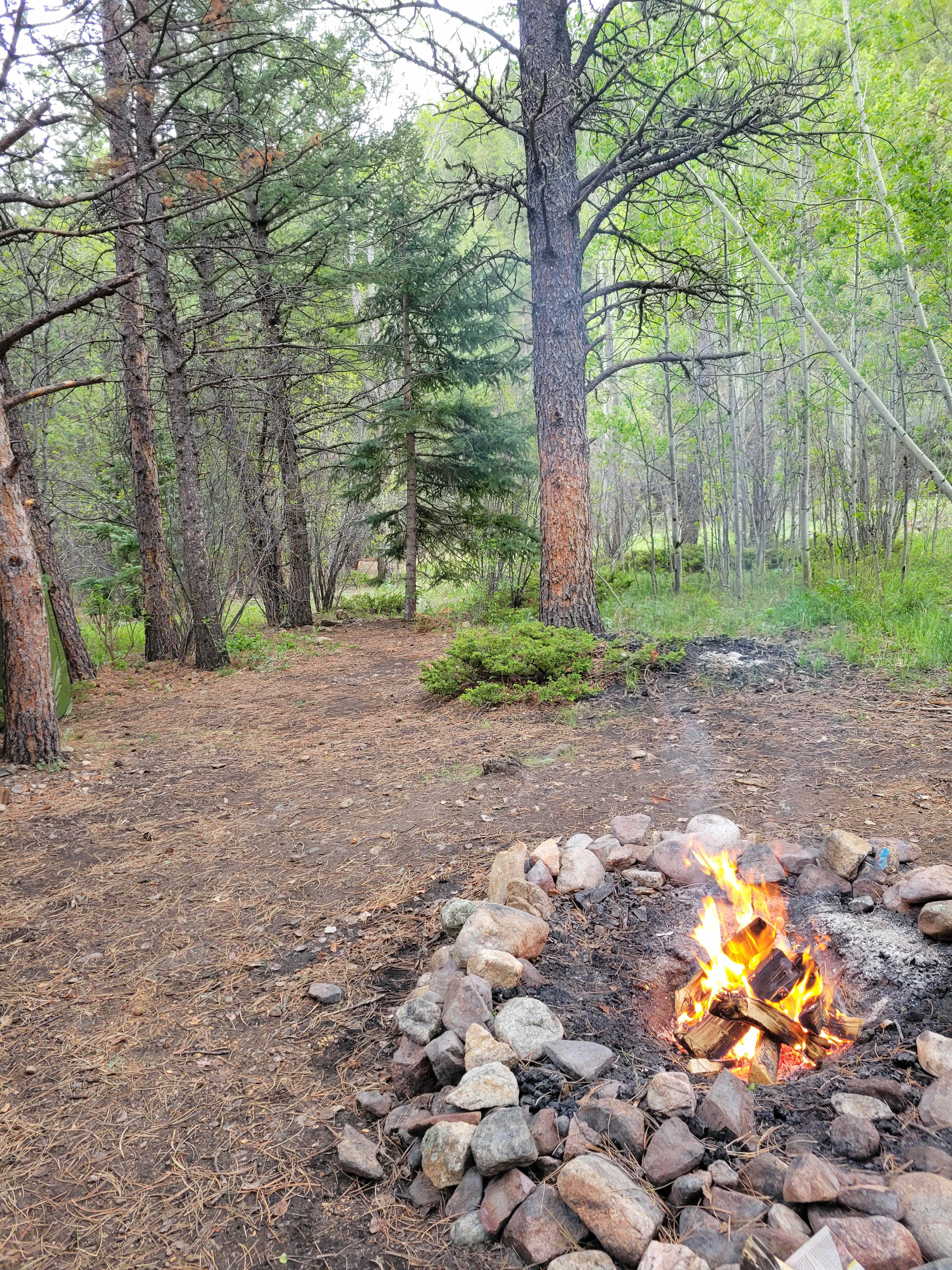 Creekside Paradise