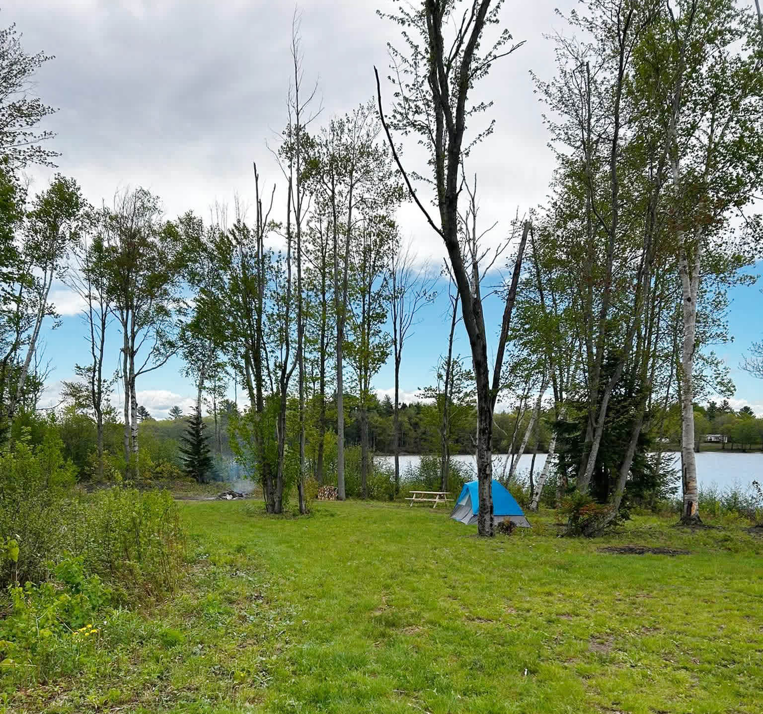 Picture of the site