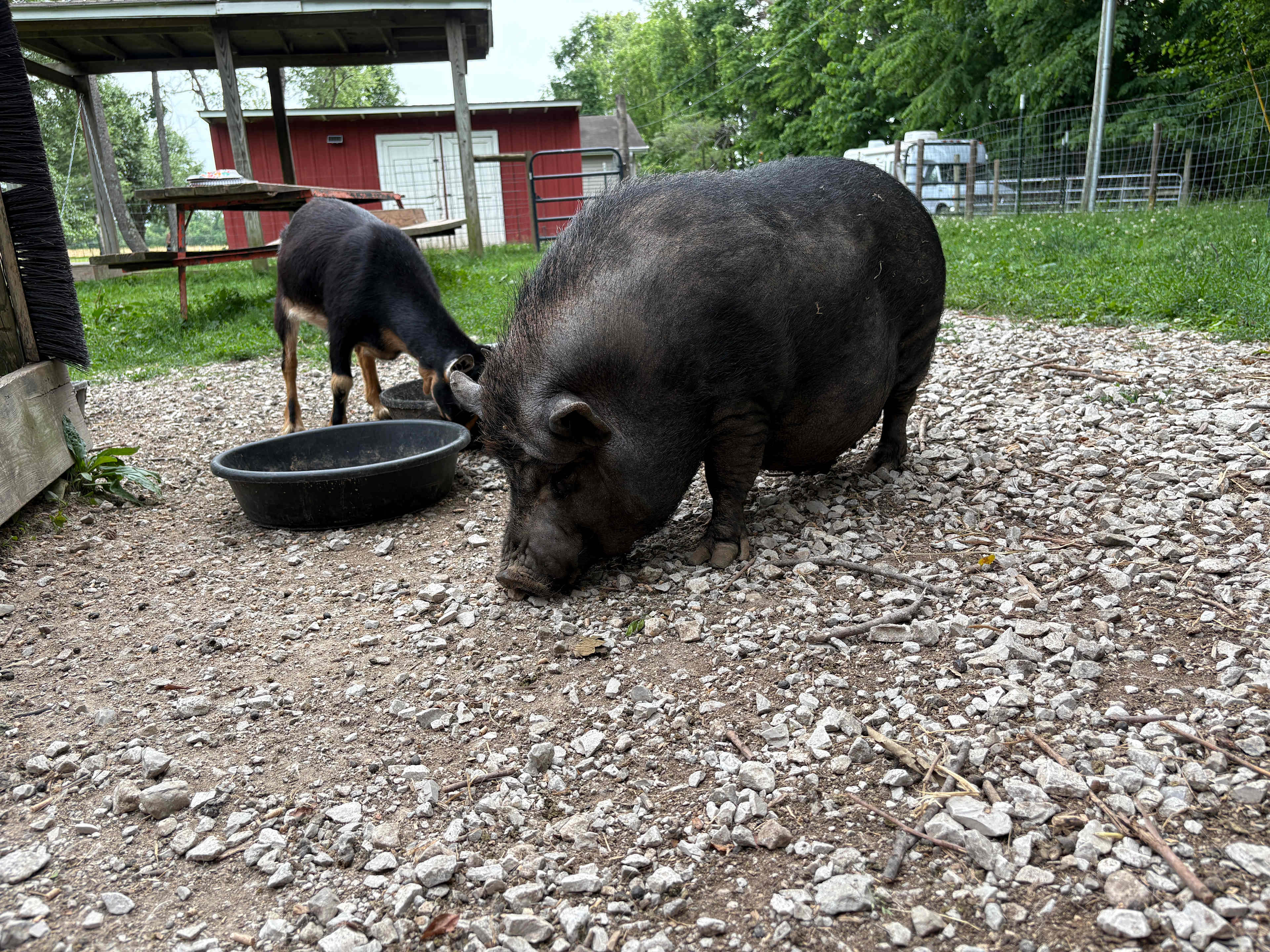 Emerald Acres Farm
