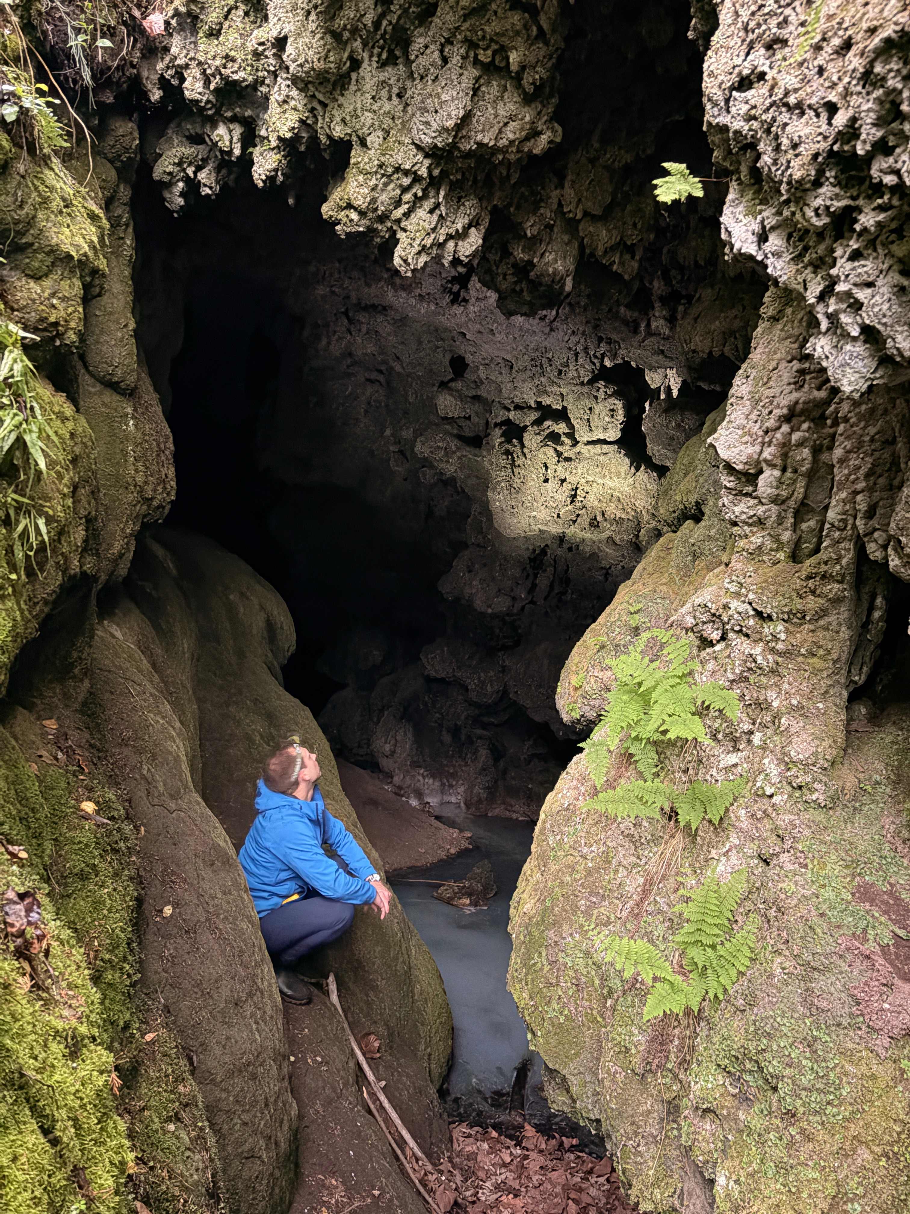 Beaverdam Falls