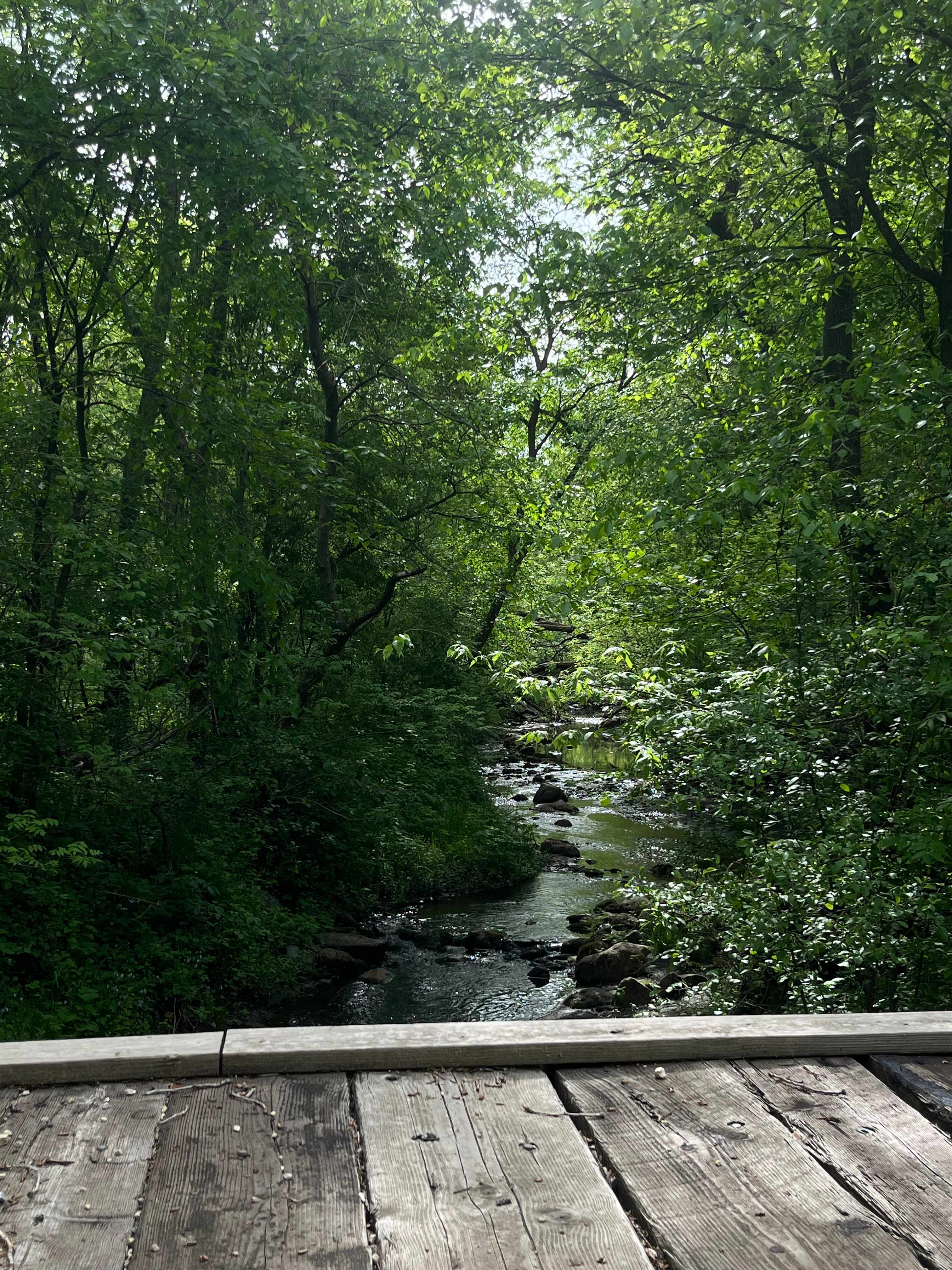 Road to the site 