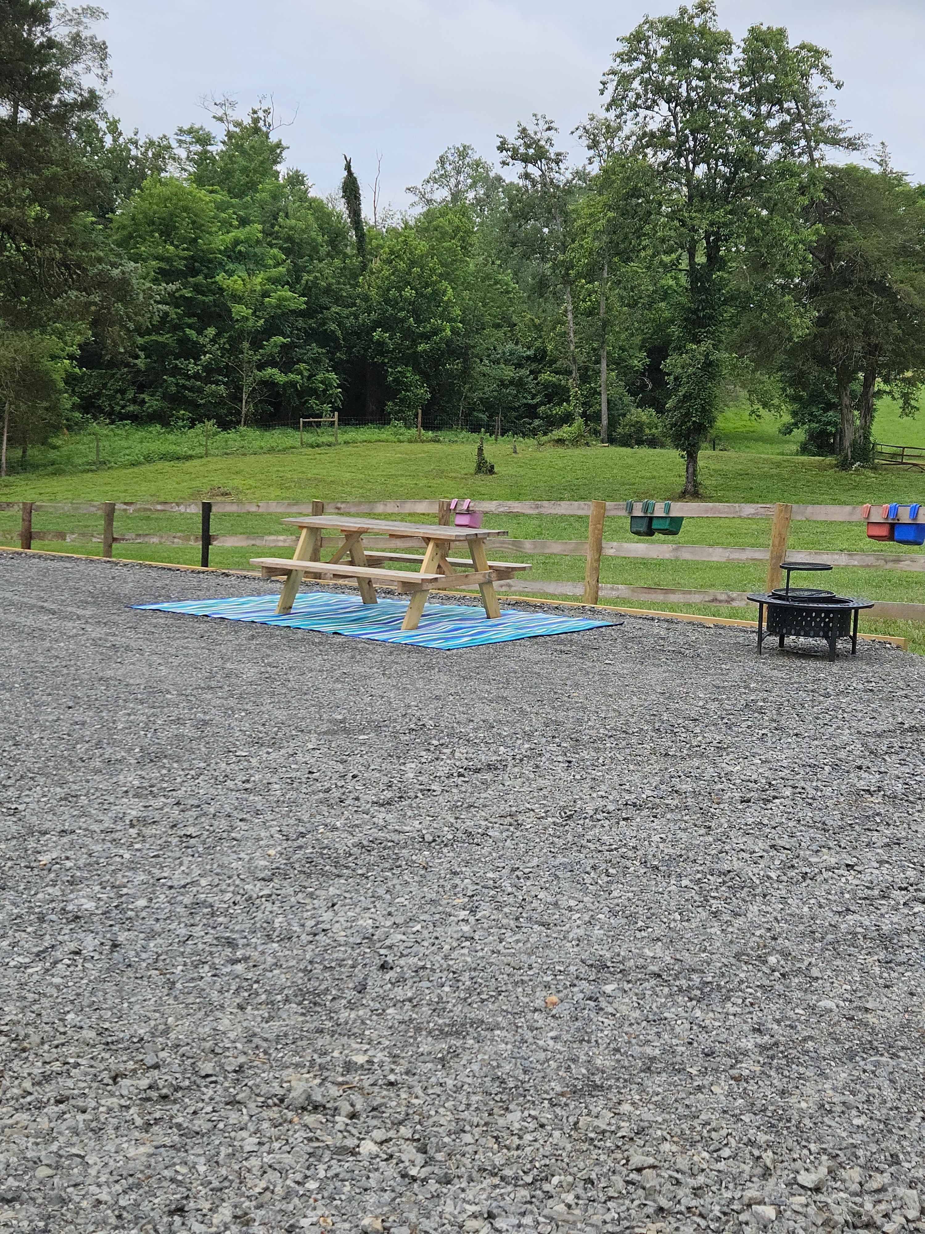 Picture of the site