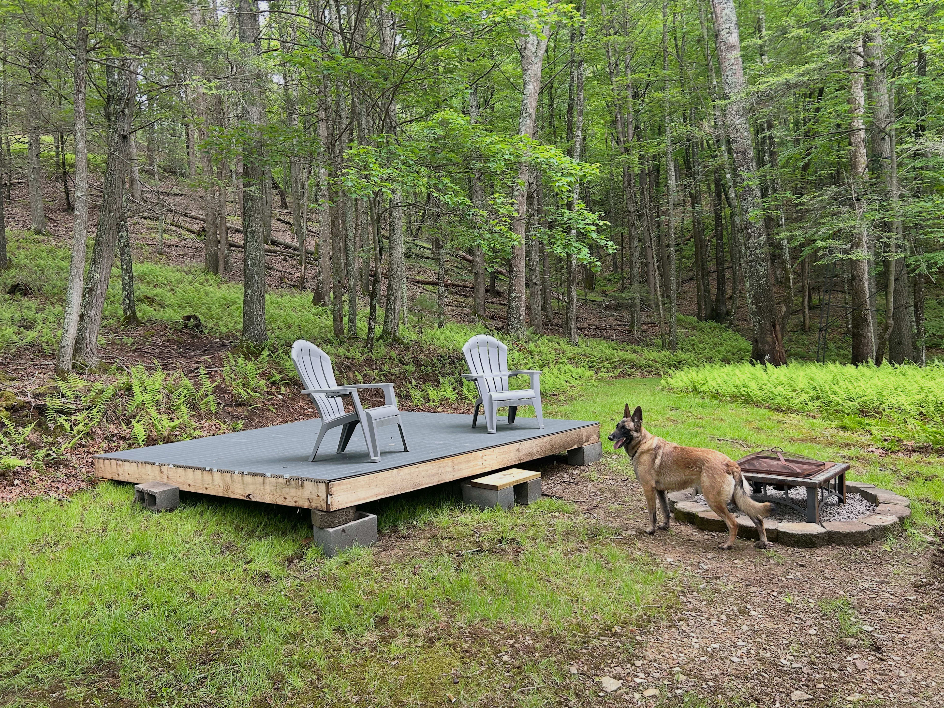 Picture of the site