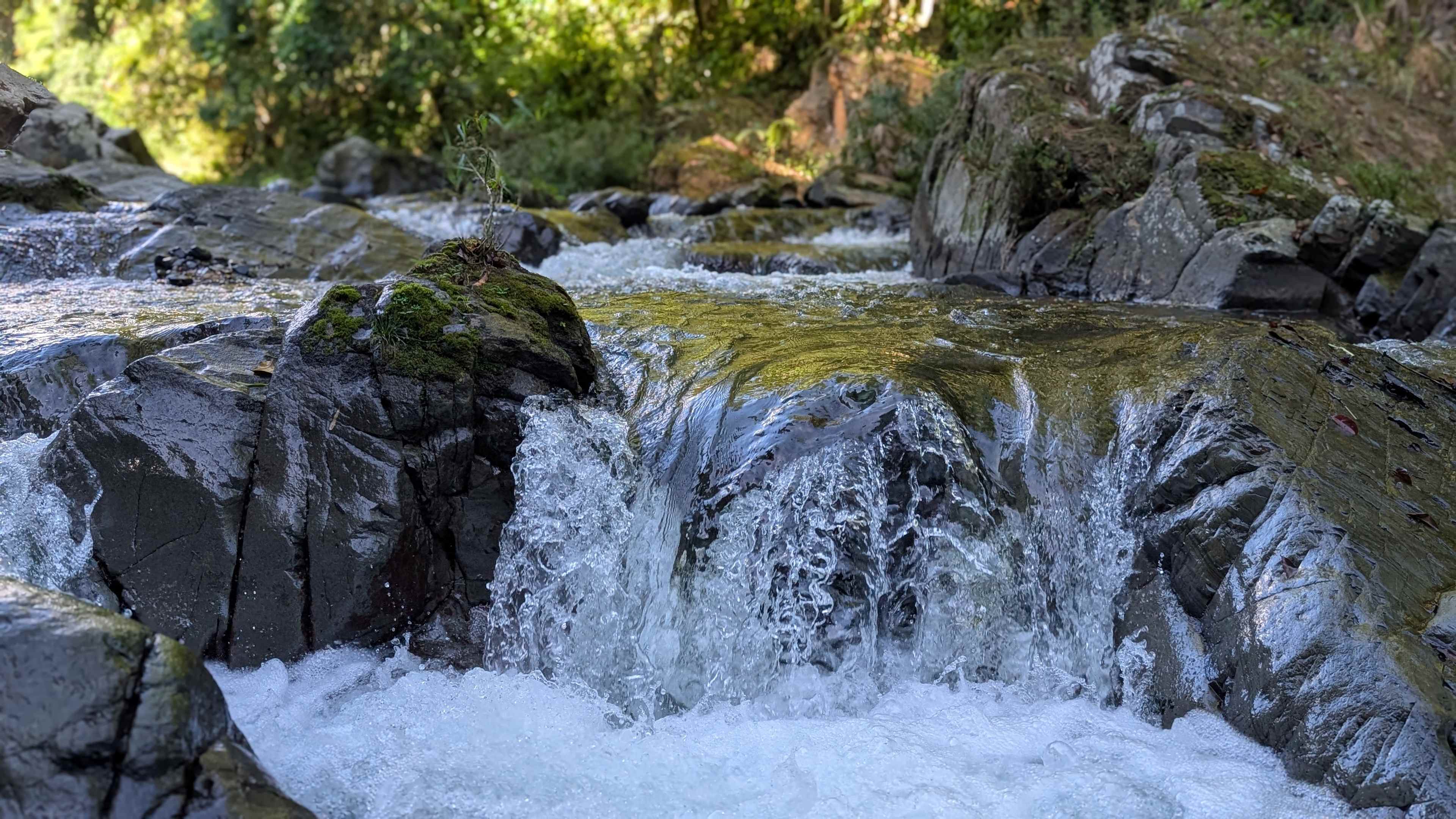Finca Sajorí