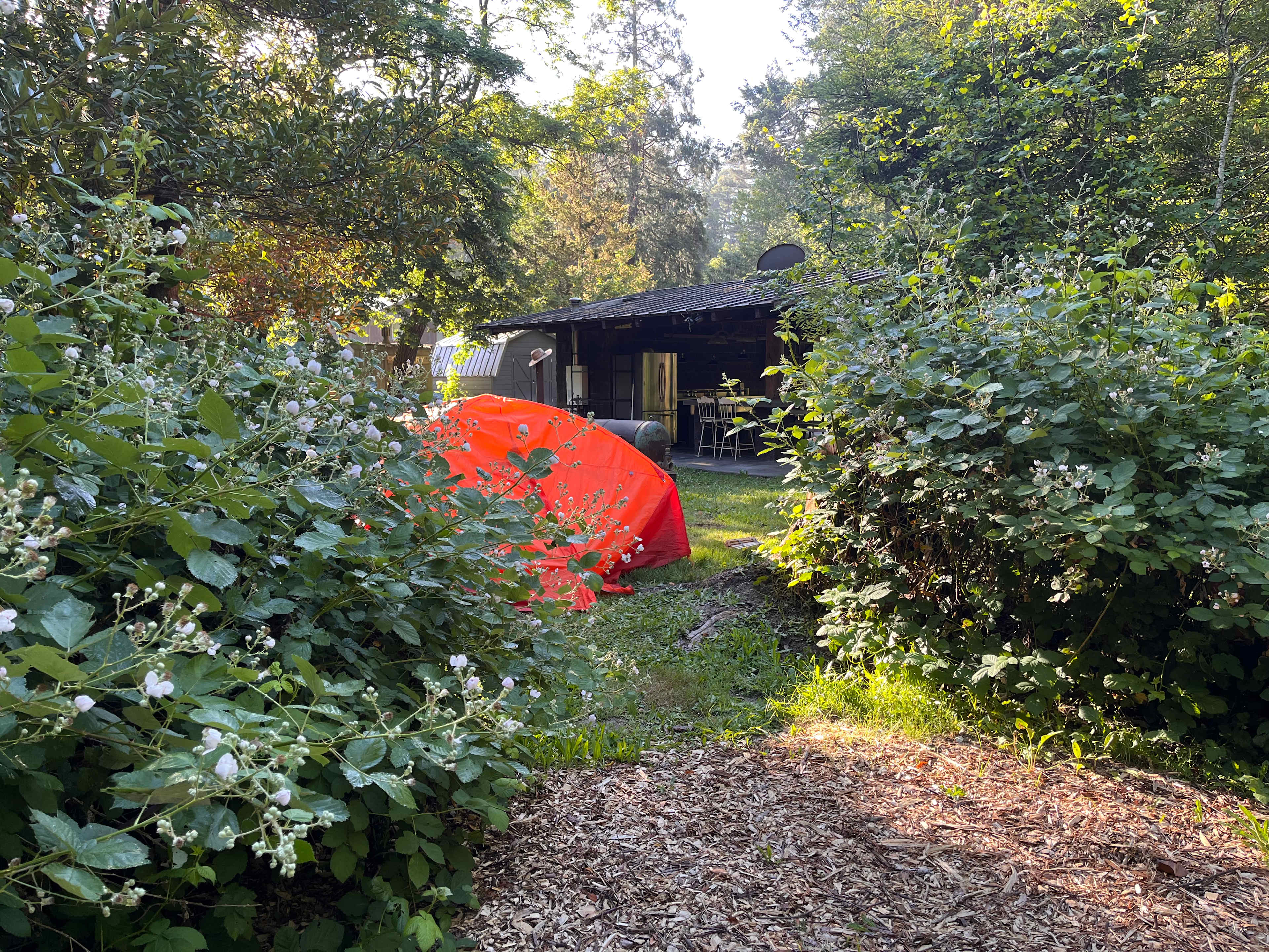 Redwood River Camp