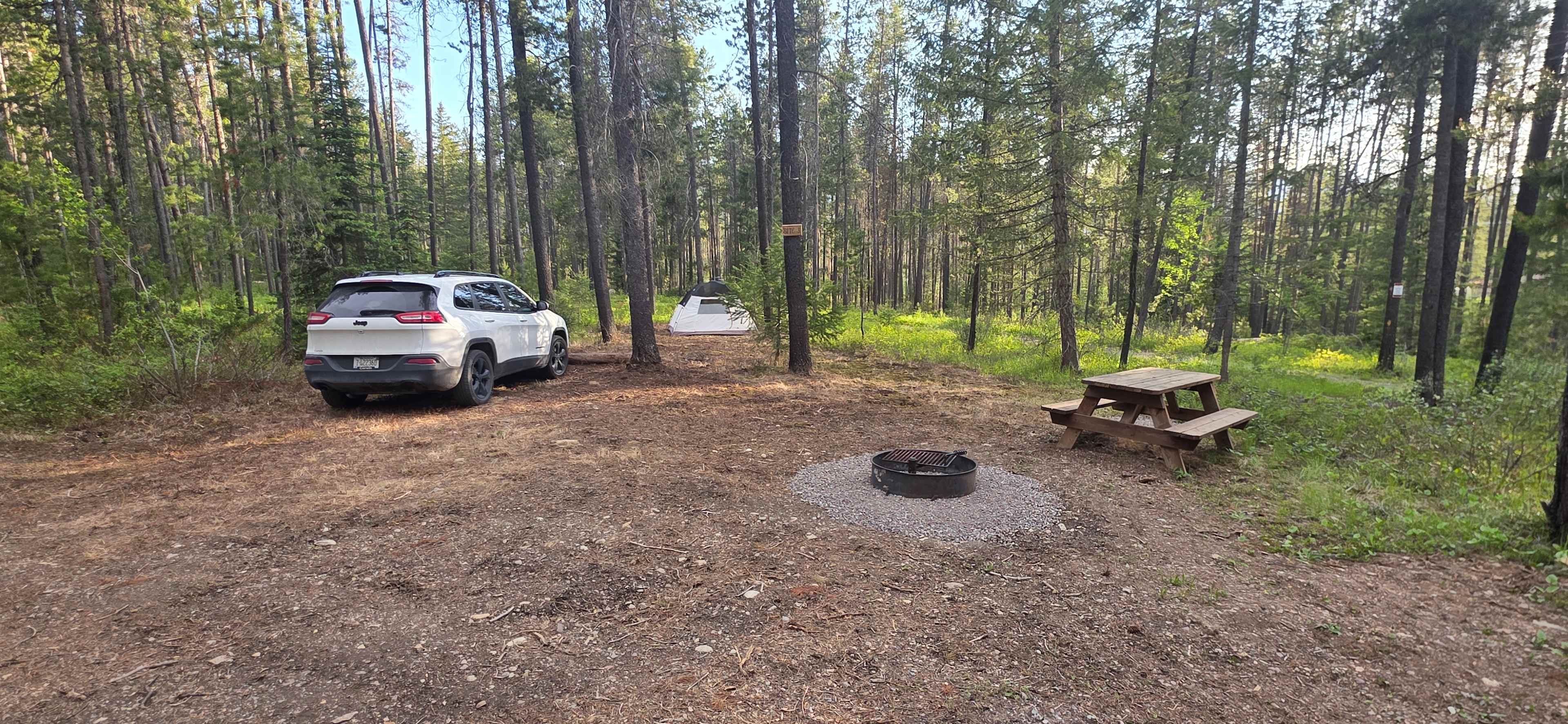 Picture of the site