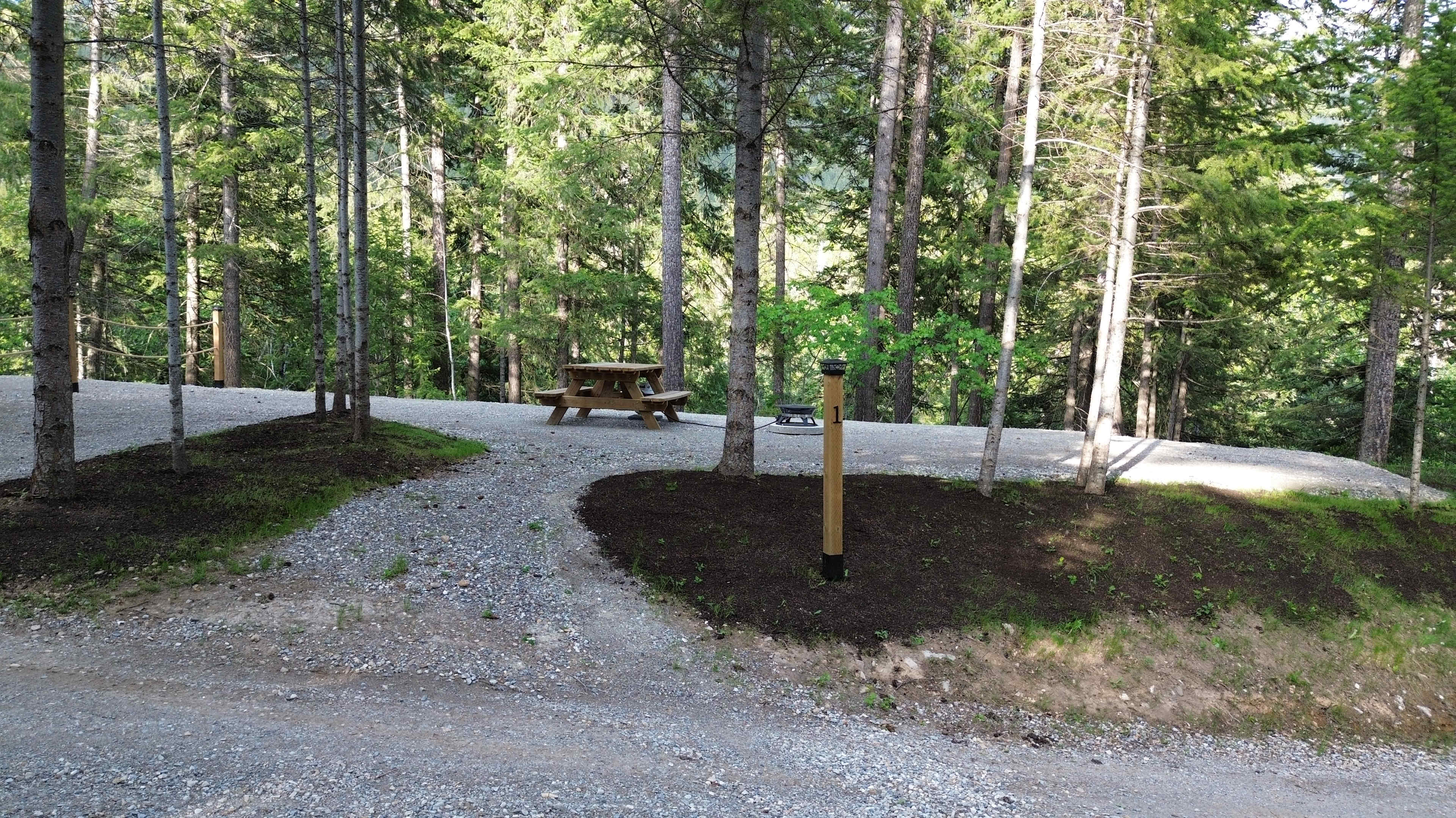 Picture of the site