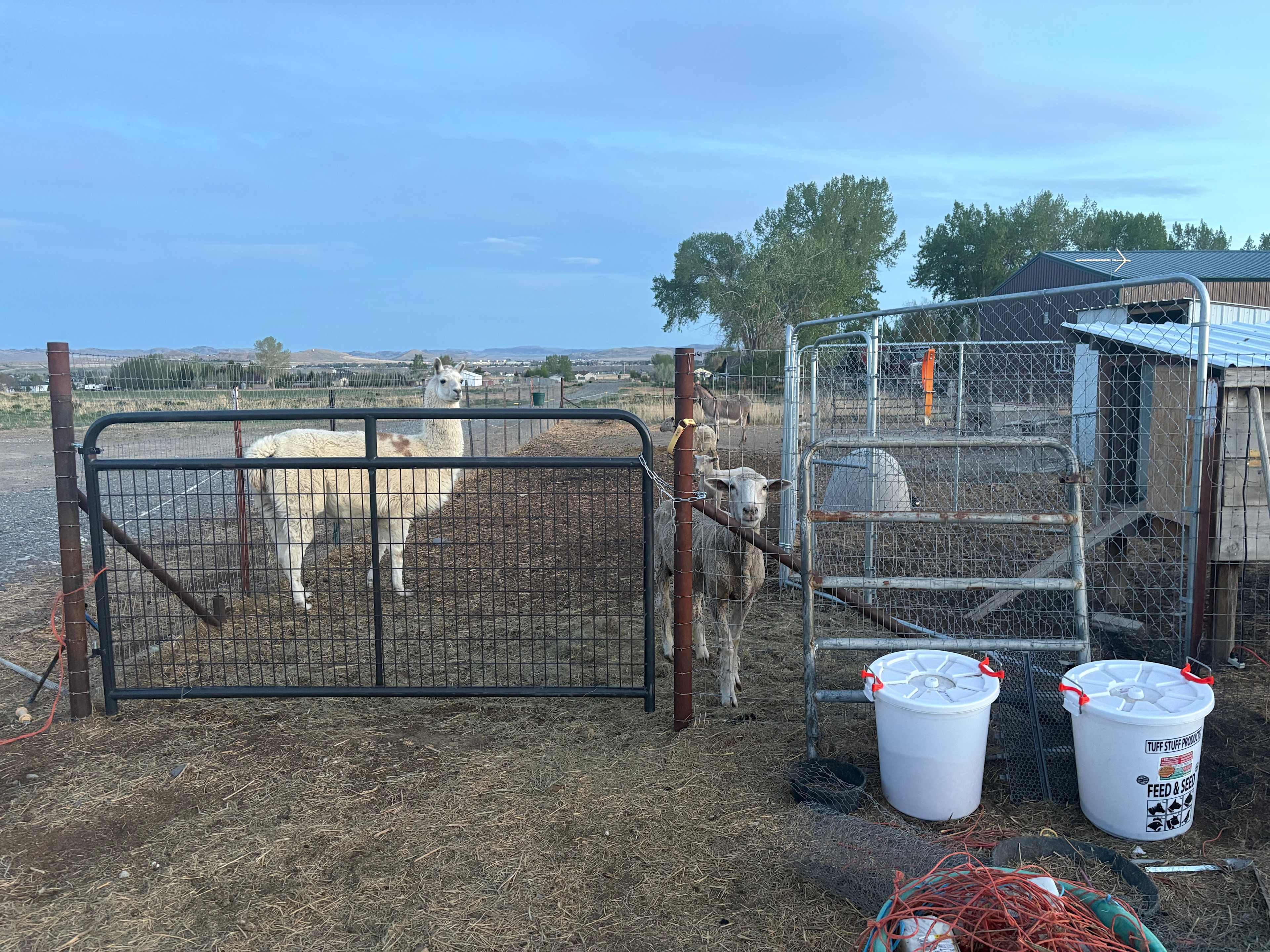 Sweetiebird Farms In Cody WY