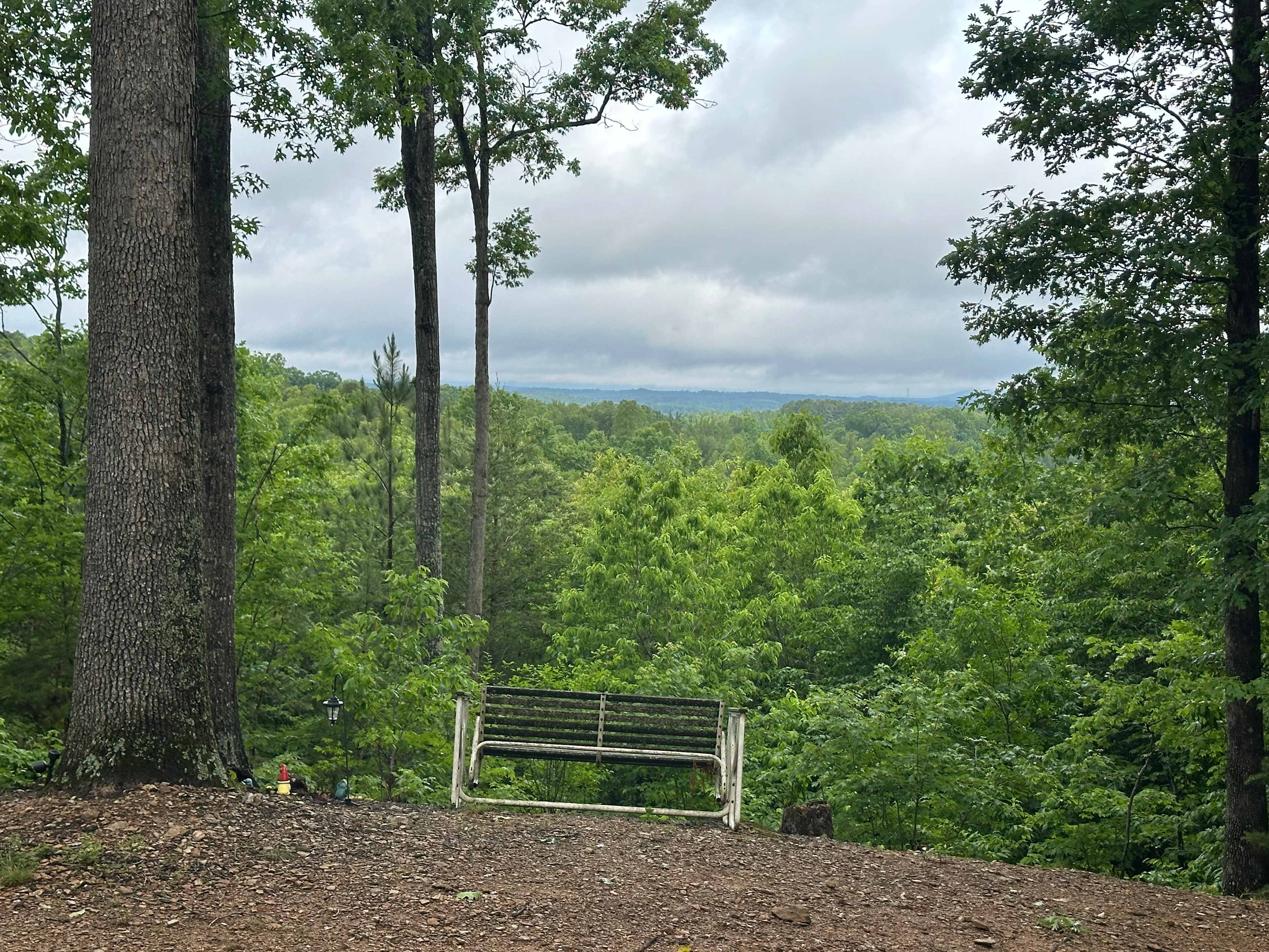 The Rocky Knoll