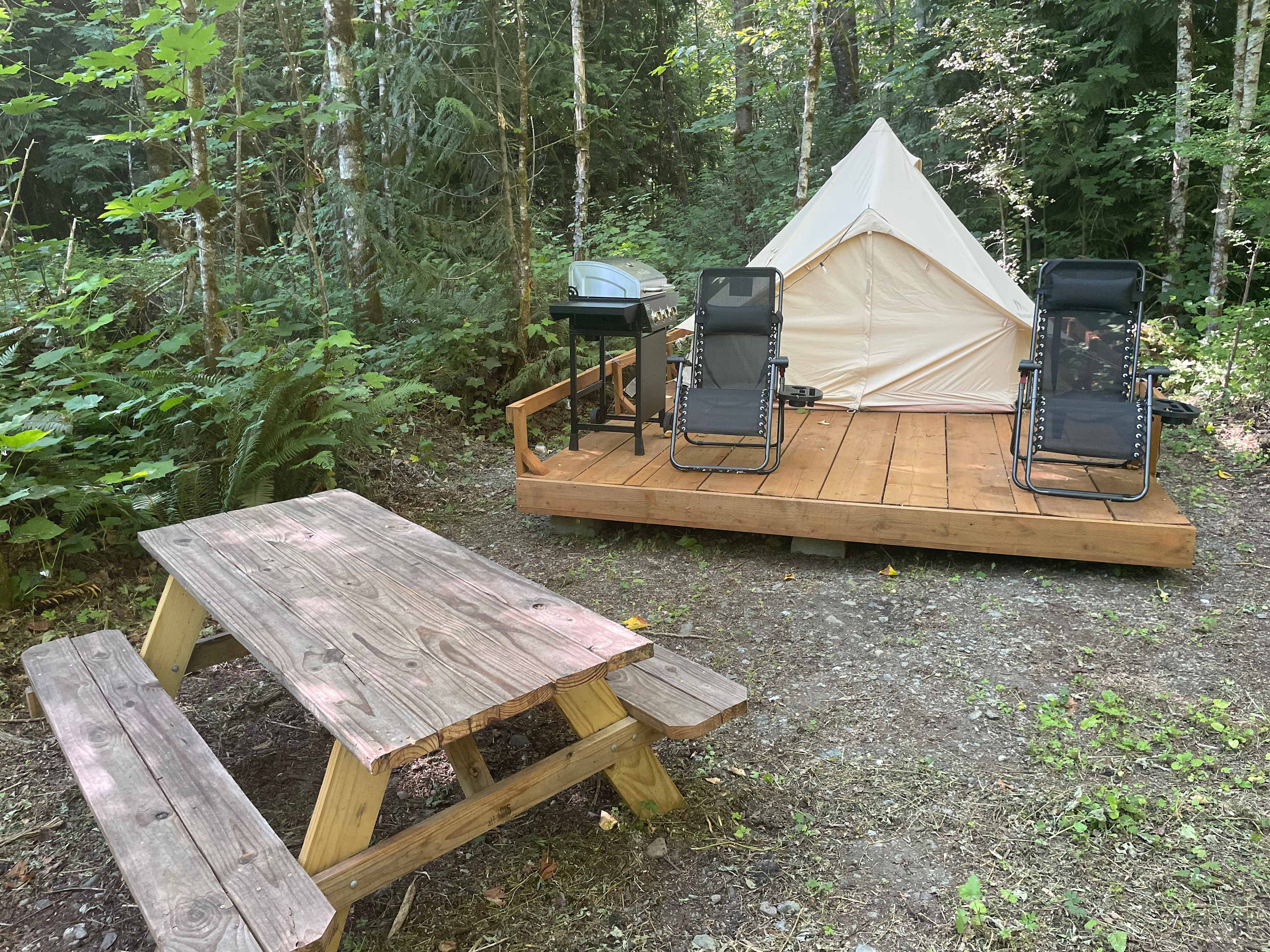 Picture of the site