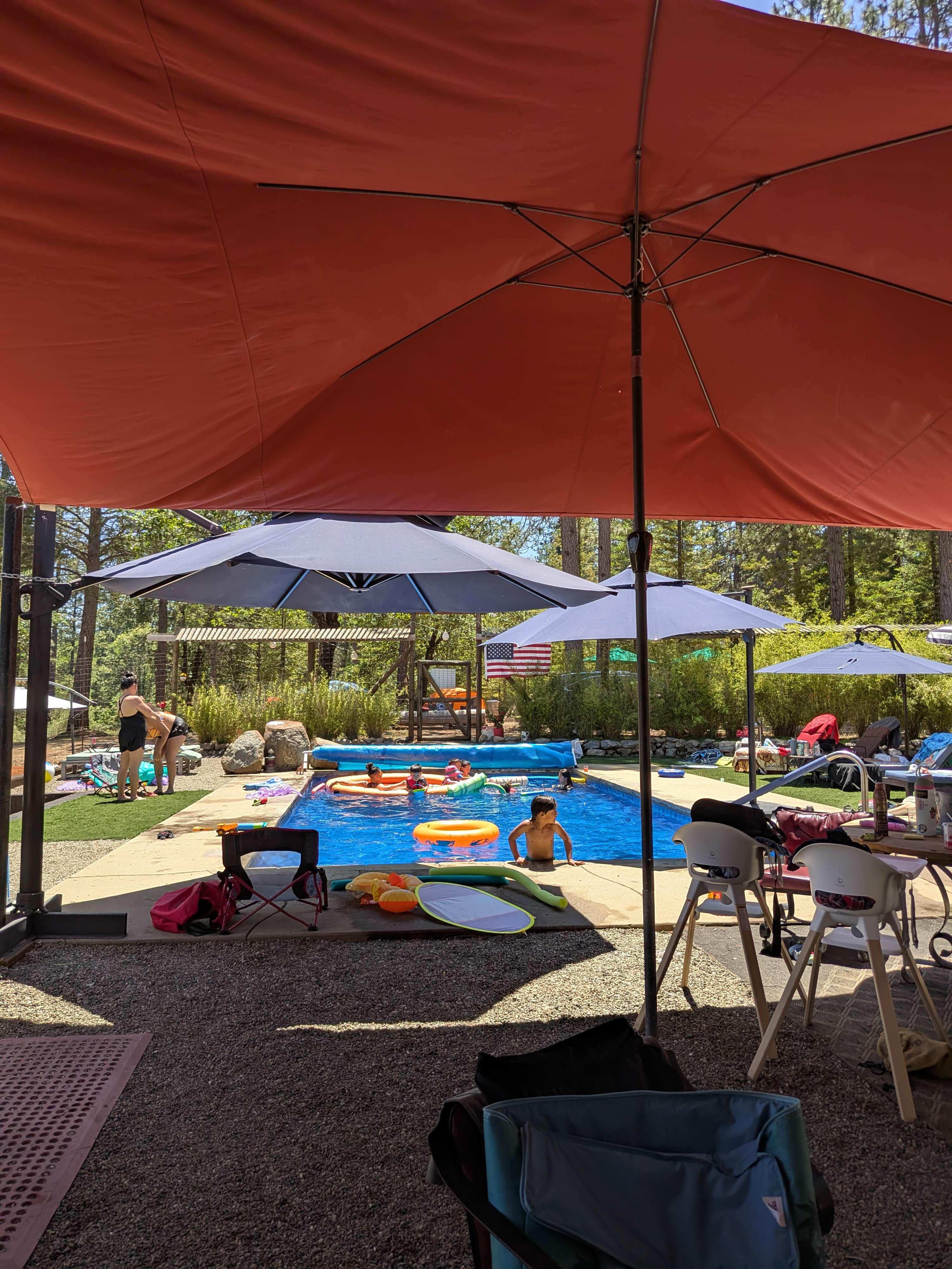 View from the bar/kitchen of the pool