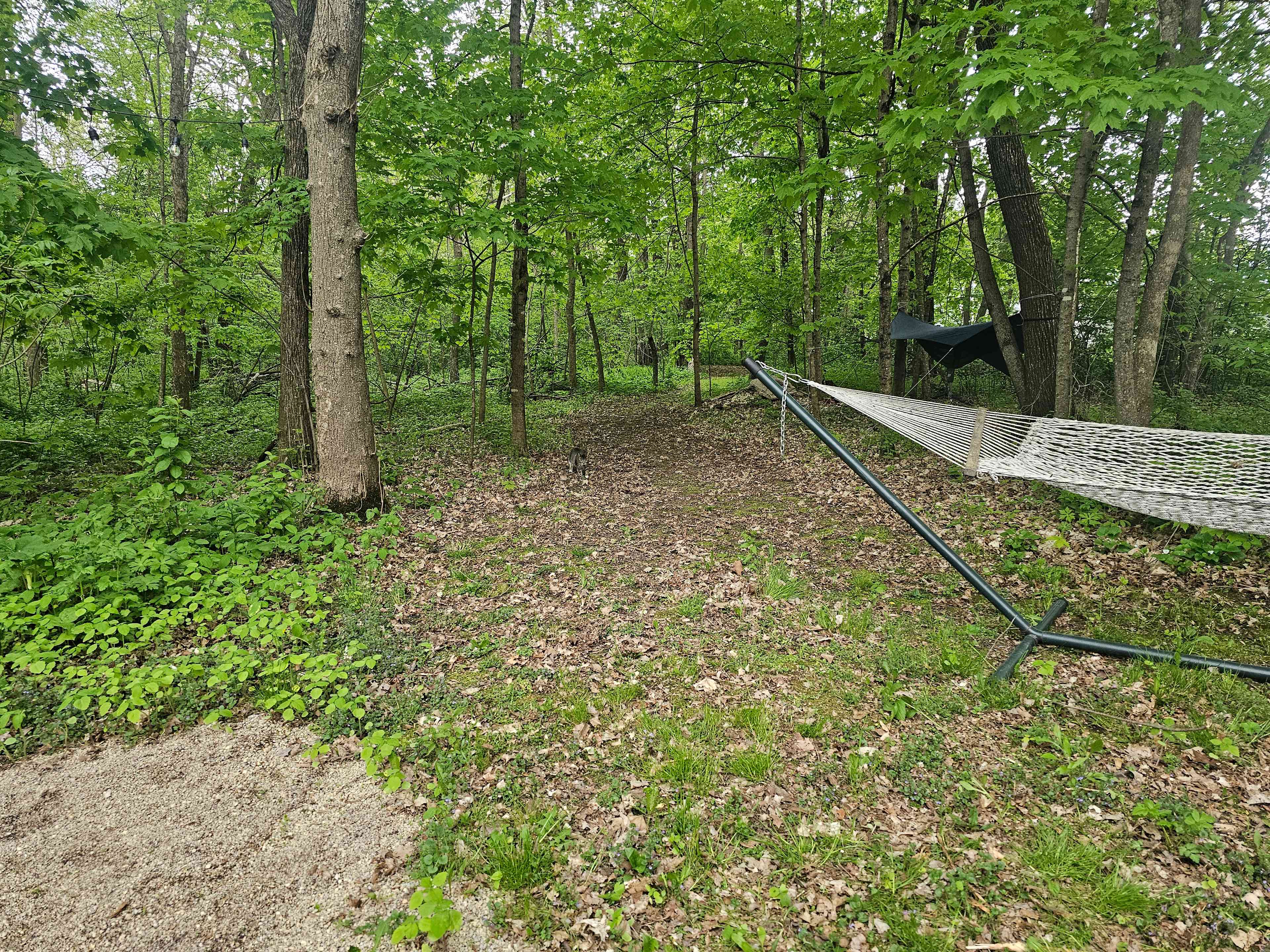 Crowded Table Farm - Cannon Valley