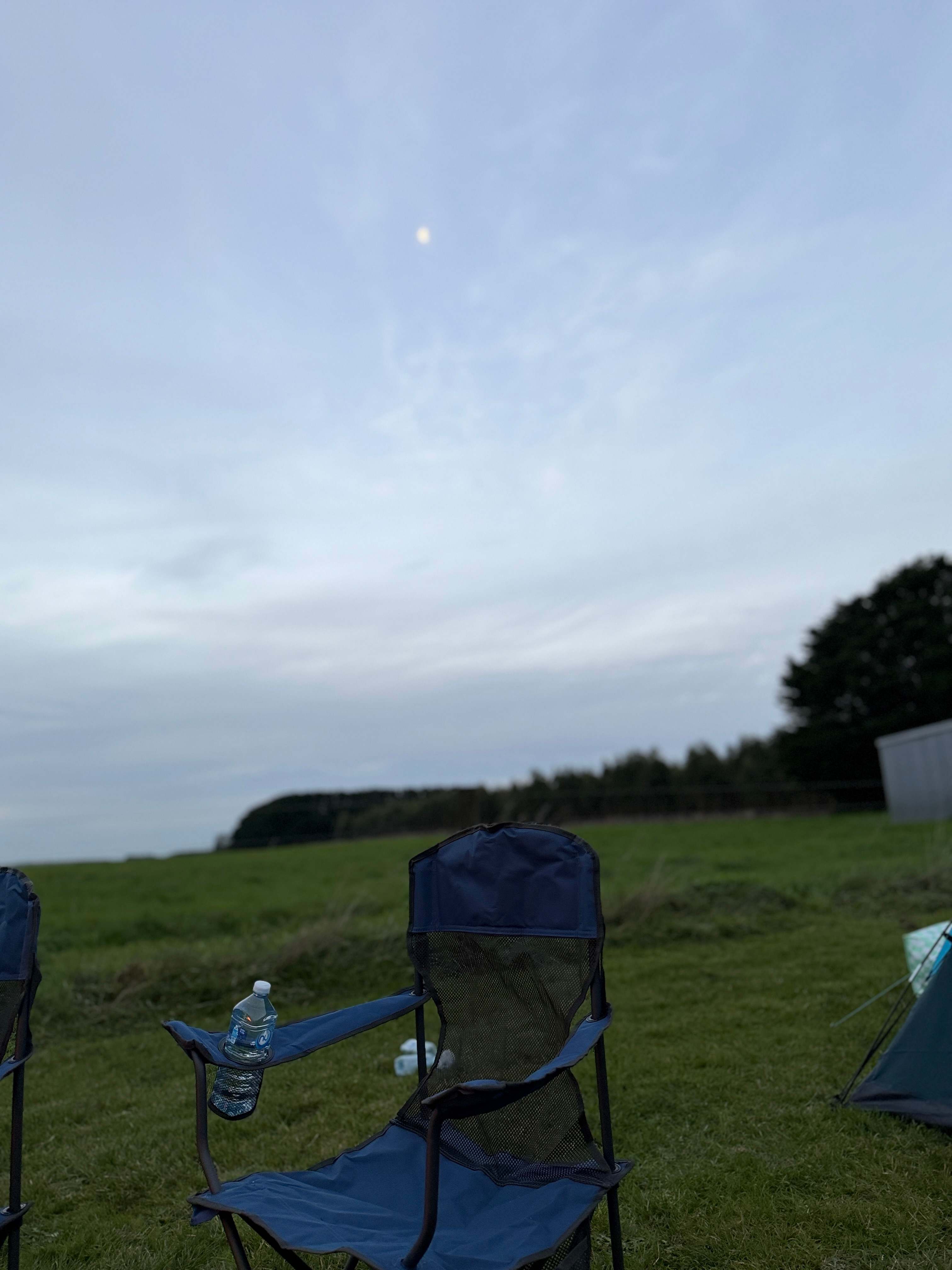 FeatherLeaf Sanctuary
