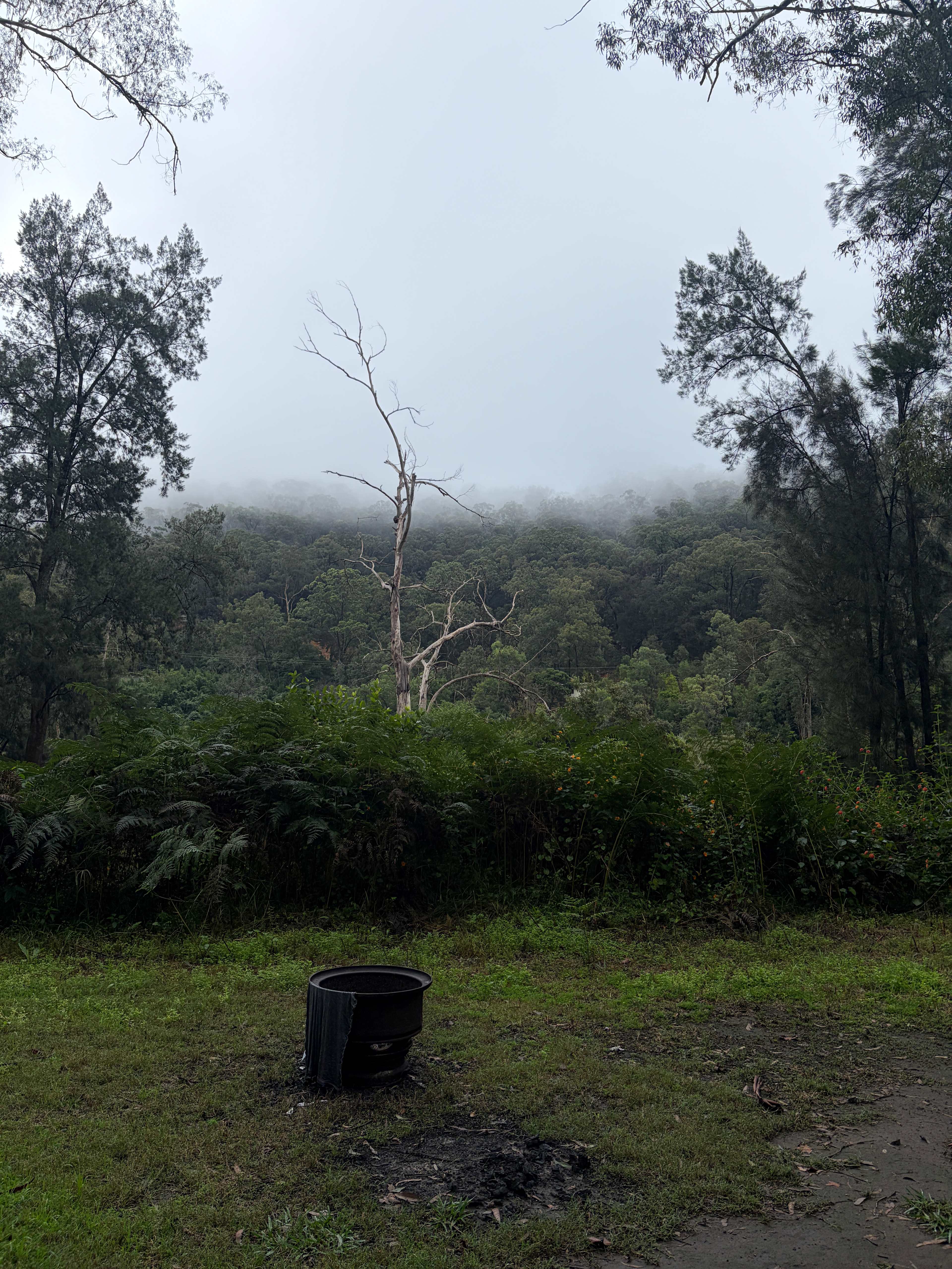 Bielany Campground @ Colo River
