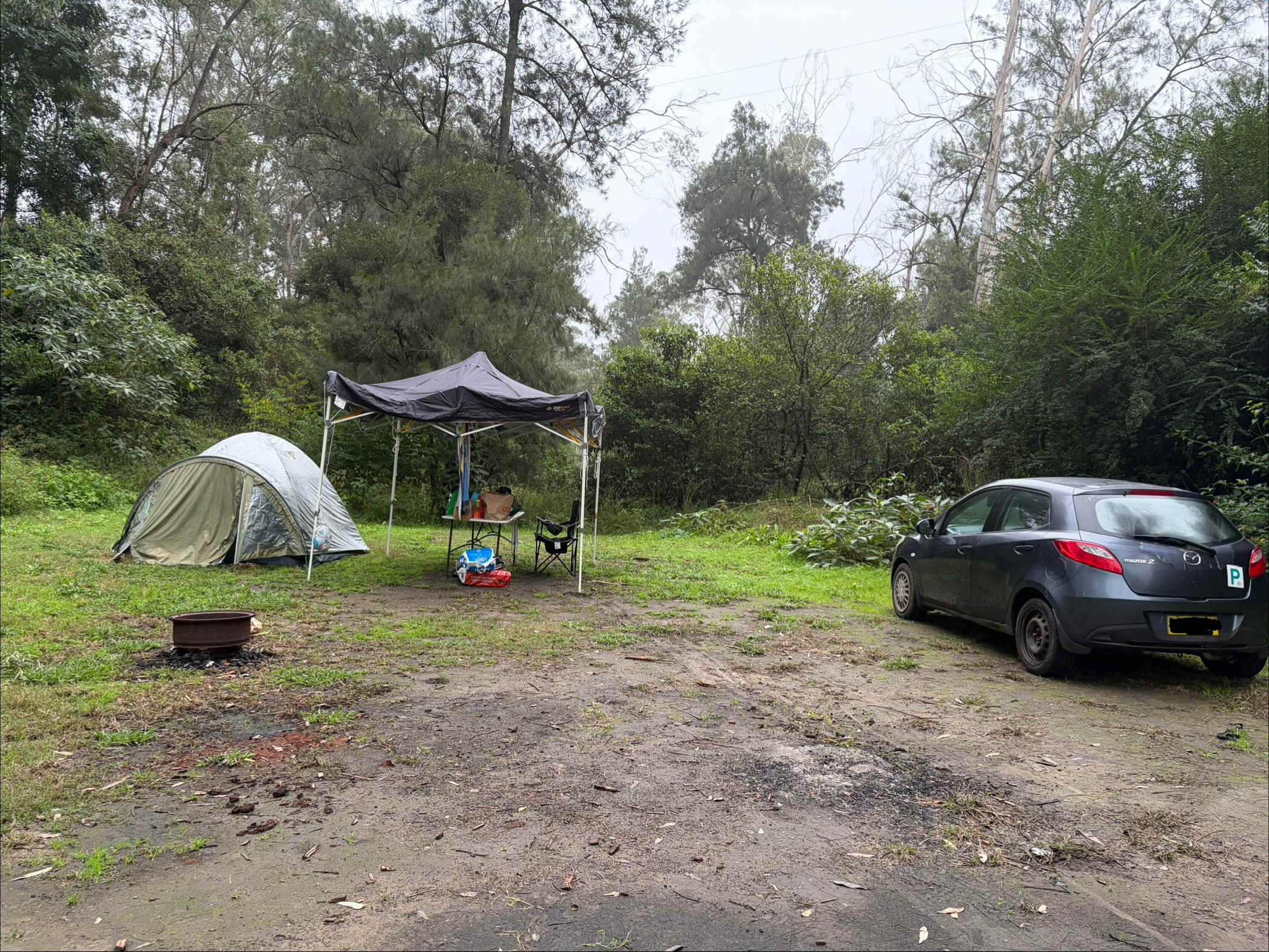 Picture of the site