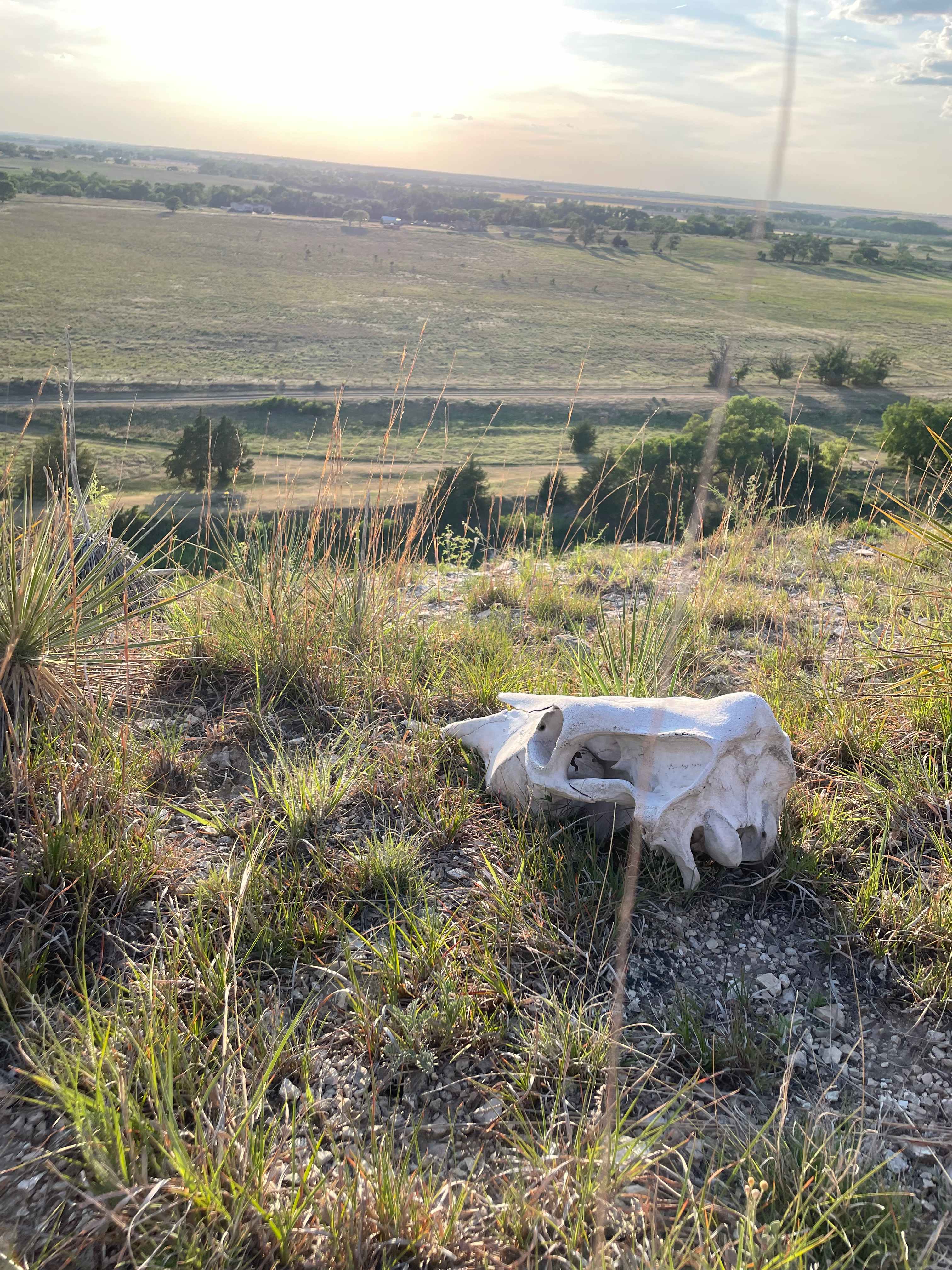 Across the ranch from atop the bluff