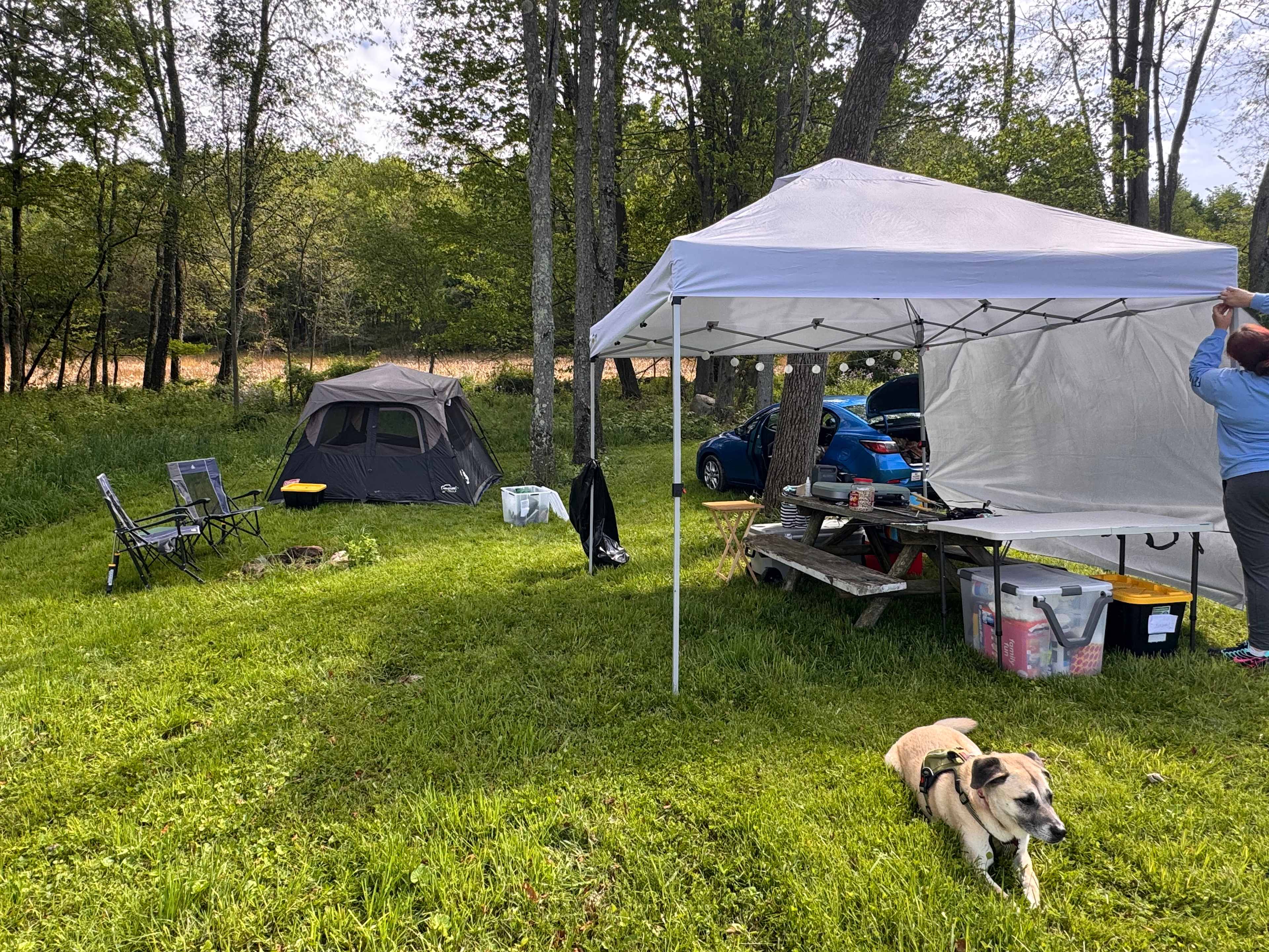 The Pleasant Valley Farm