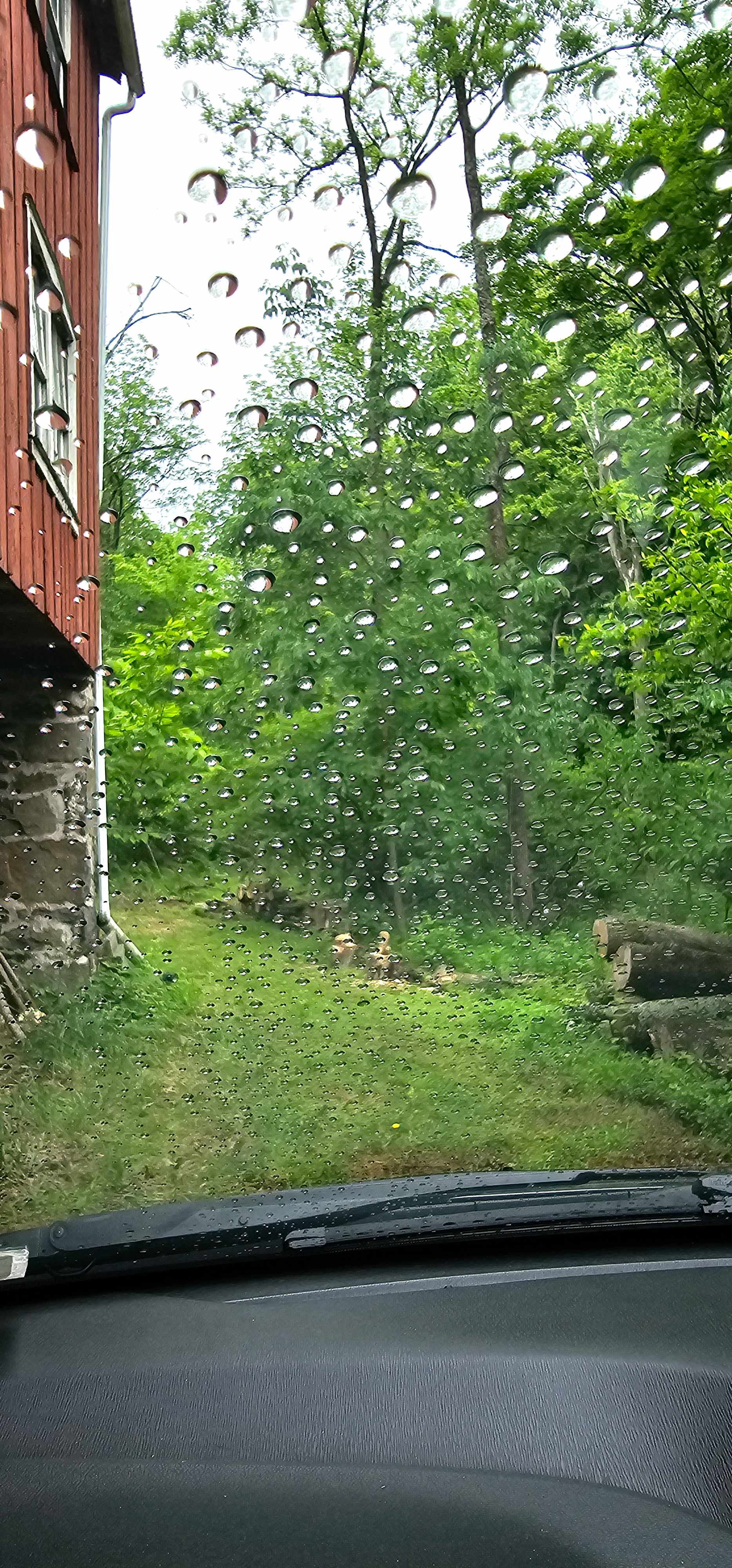Beautiful, even on a rainy day 