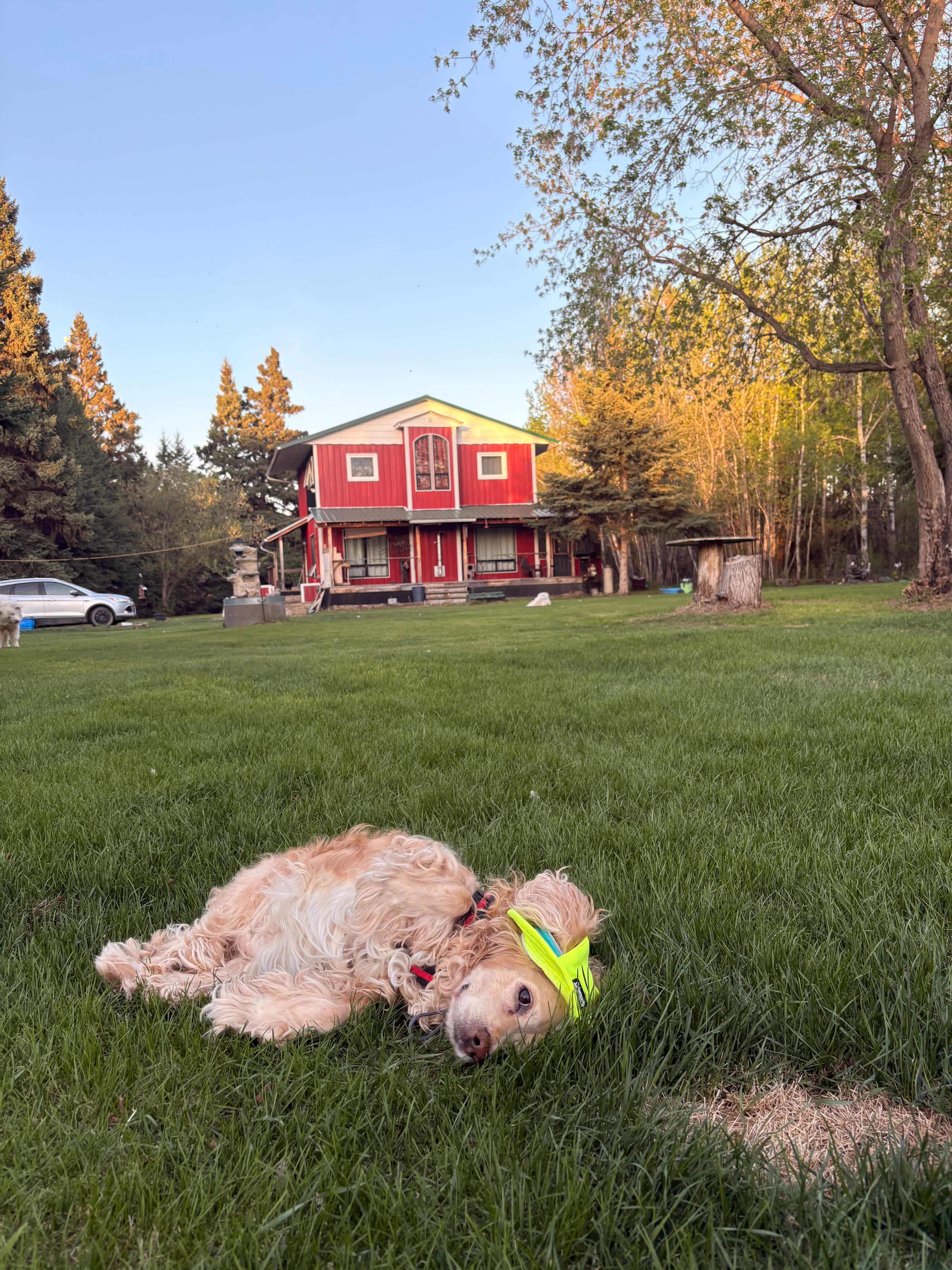 Hoof Hearted Family Acres