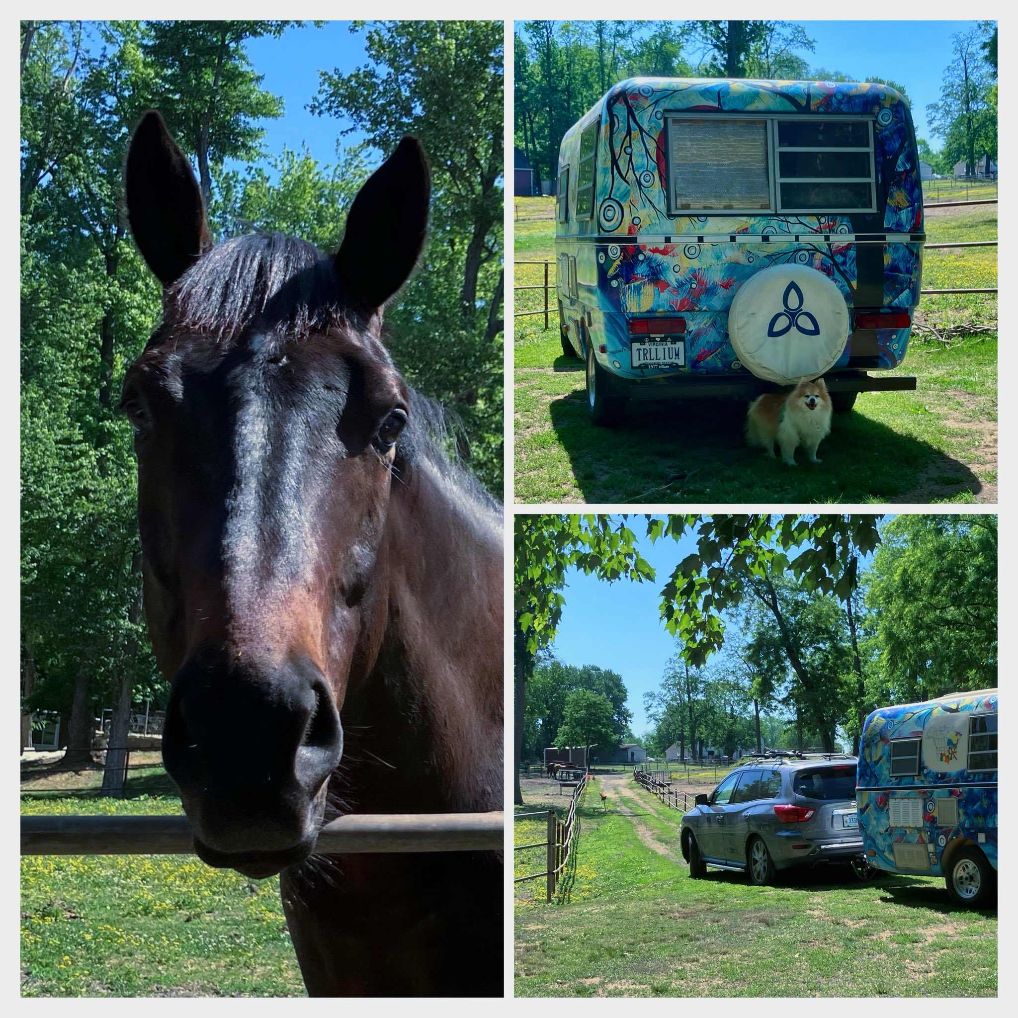 Horse Farm Camping