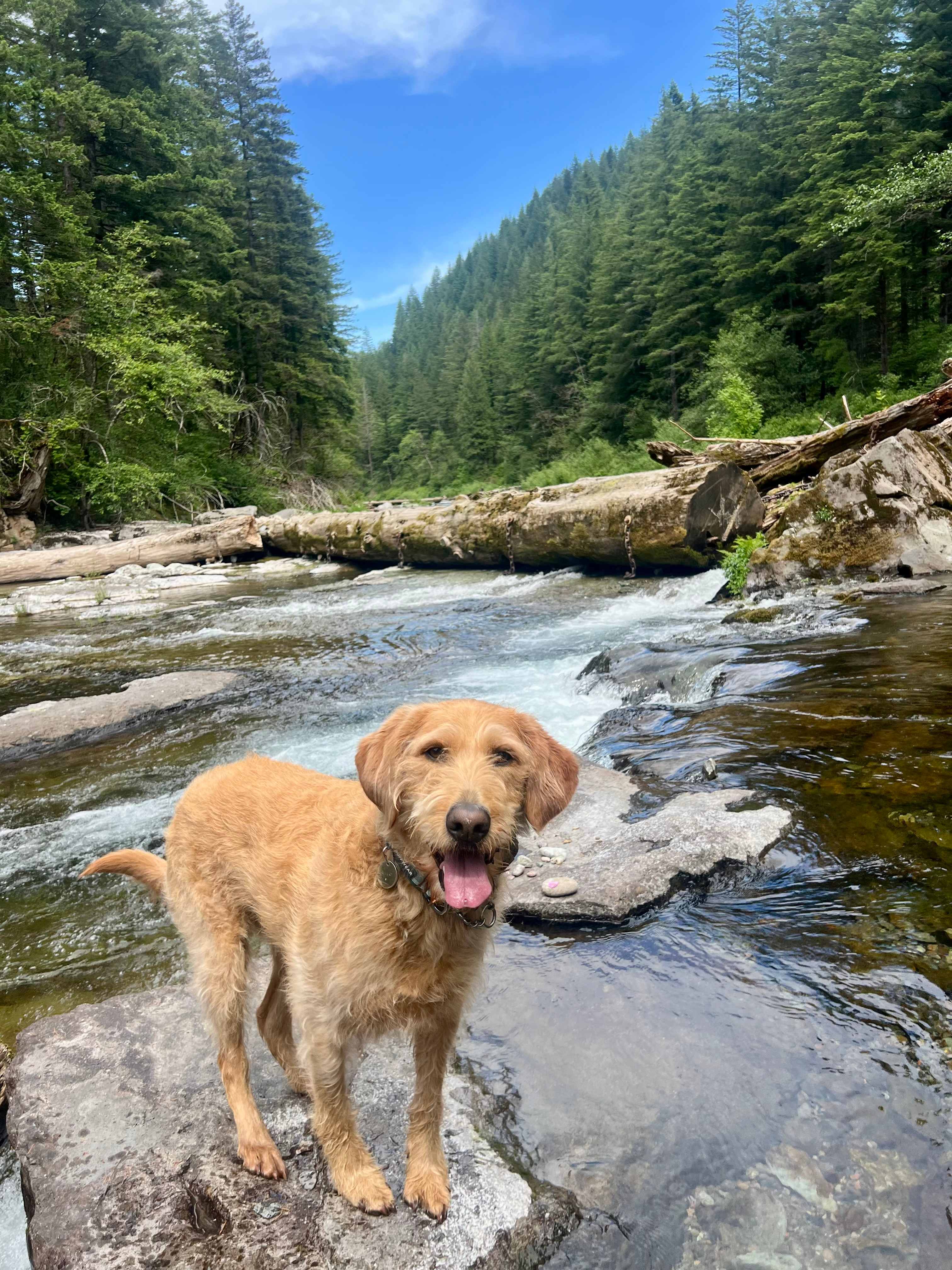 Naked Falls